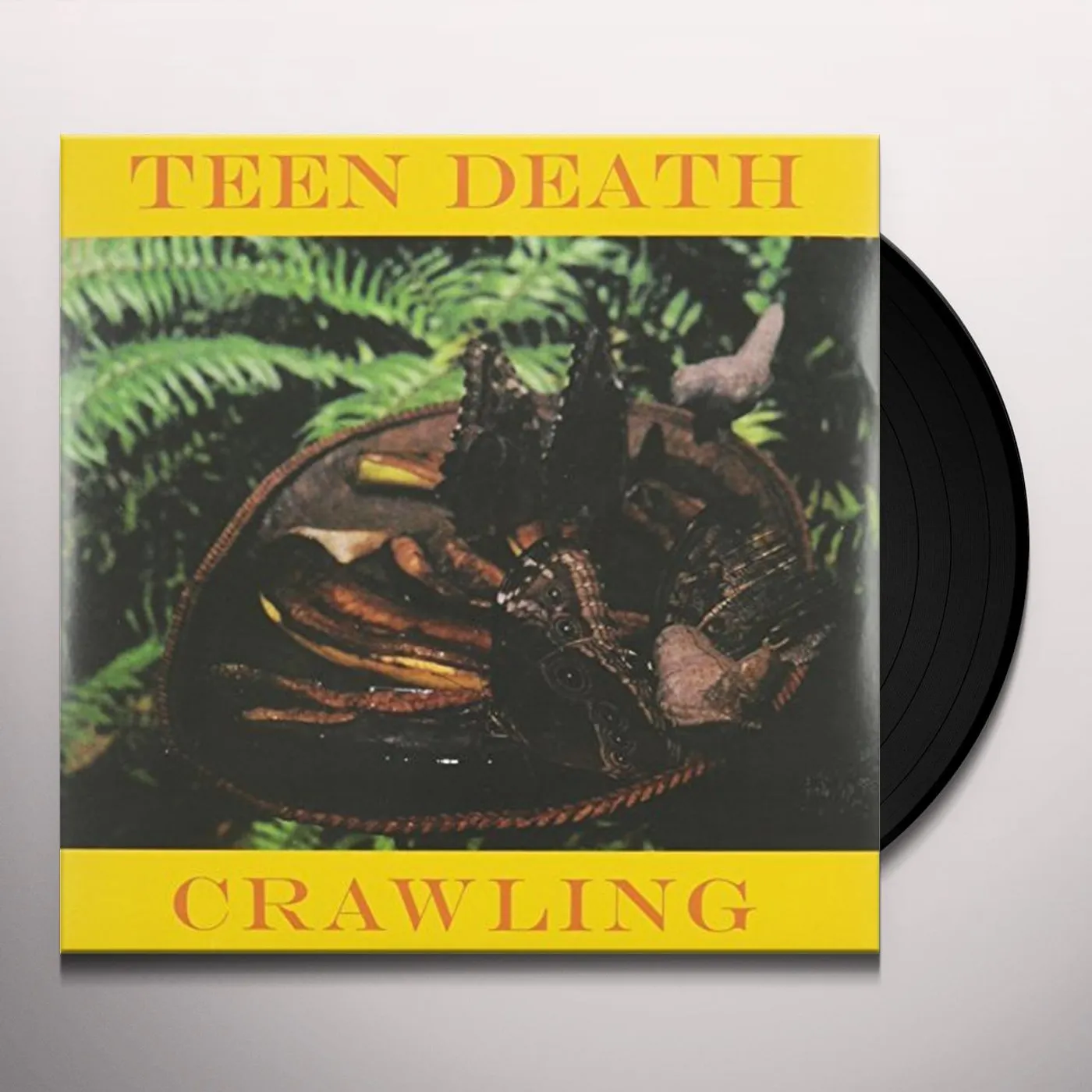 Teen Death Crawling Vinyl Record