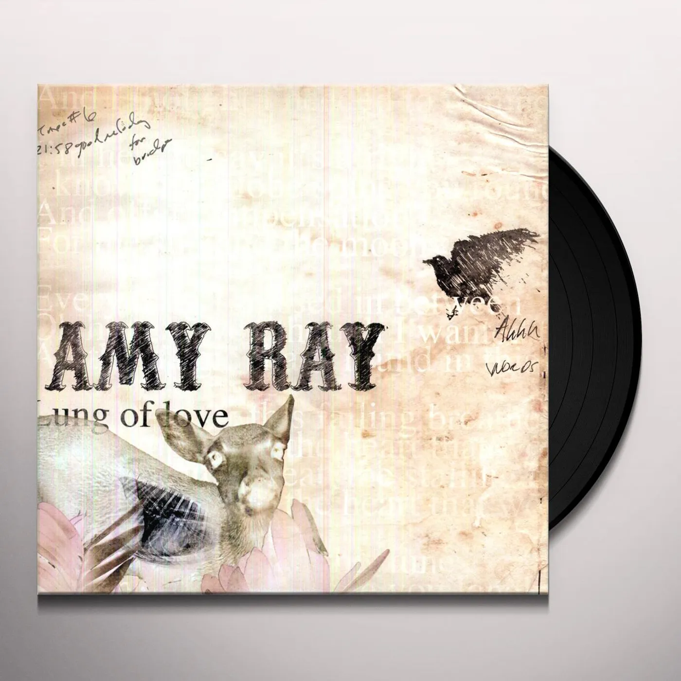 Amy Ray Lung of Love Vinyl Record