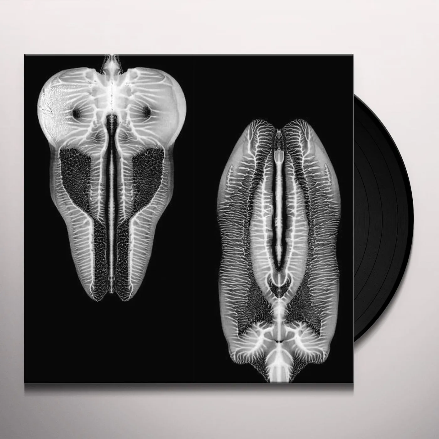 The Skull Defekts Dances in Dreams of the Known Unknown Vinyl Record