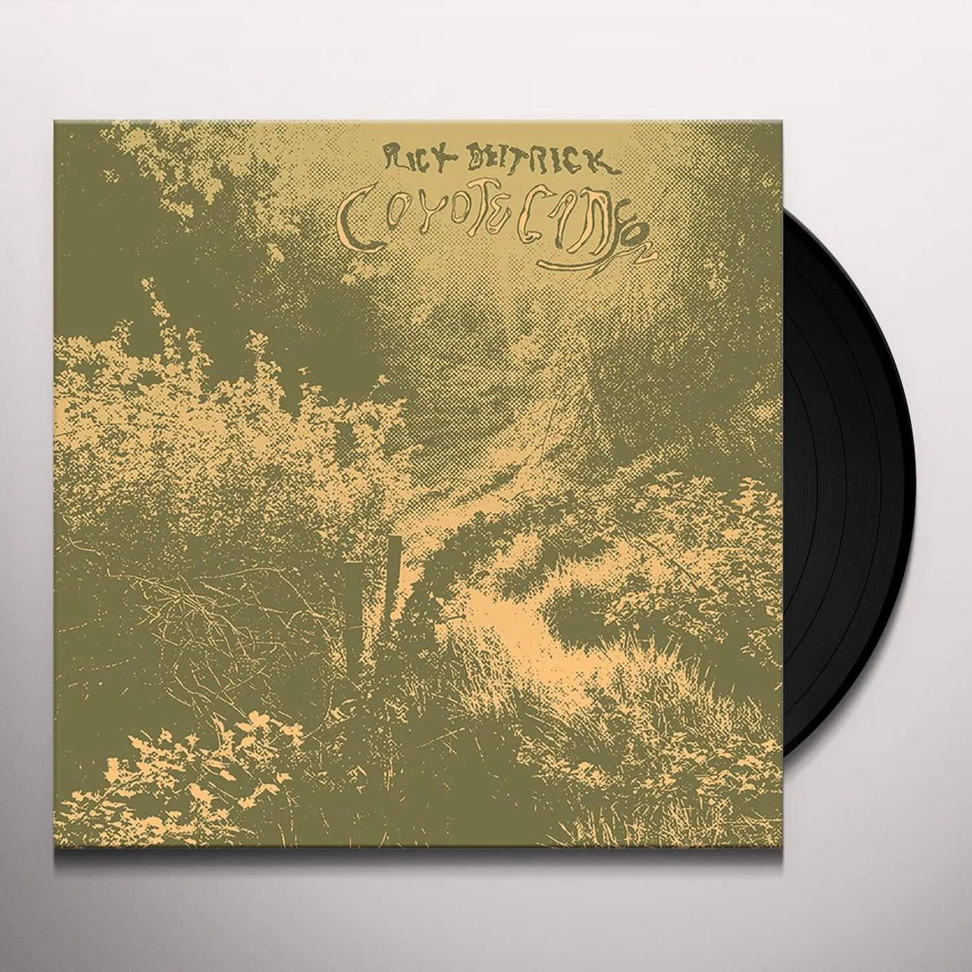 Rick Deitrick COYOTE CANYON Vinyl Record