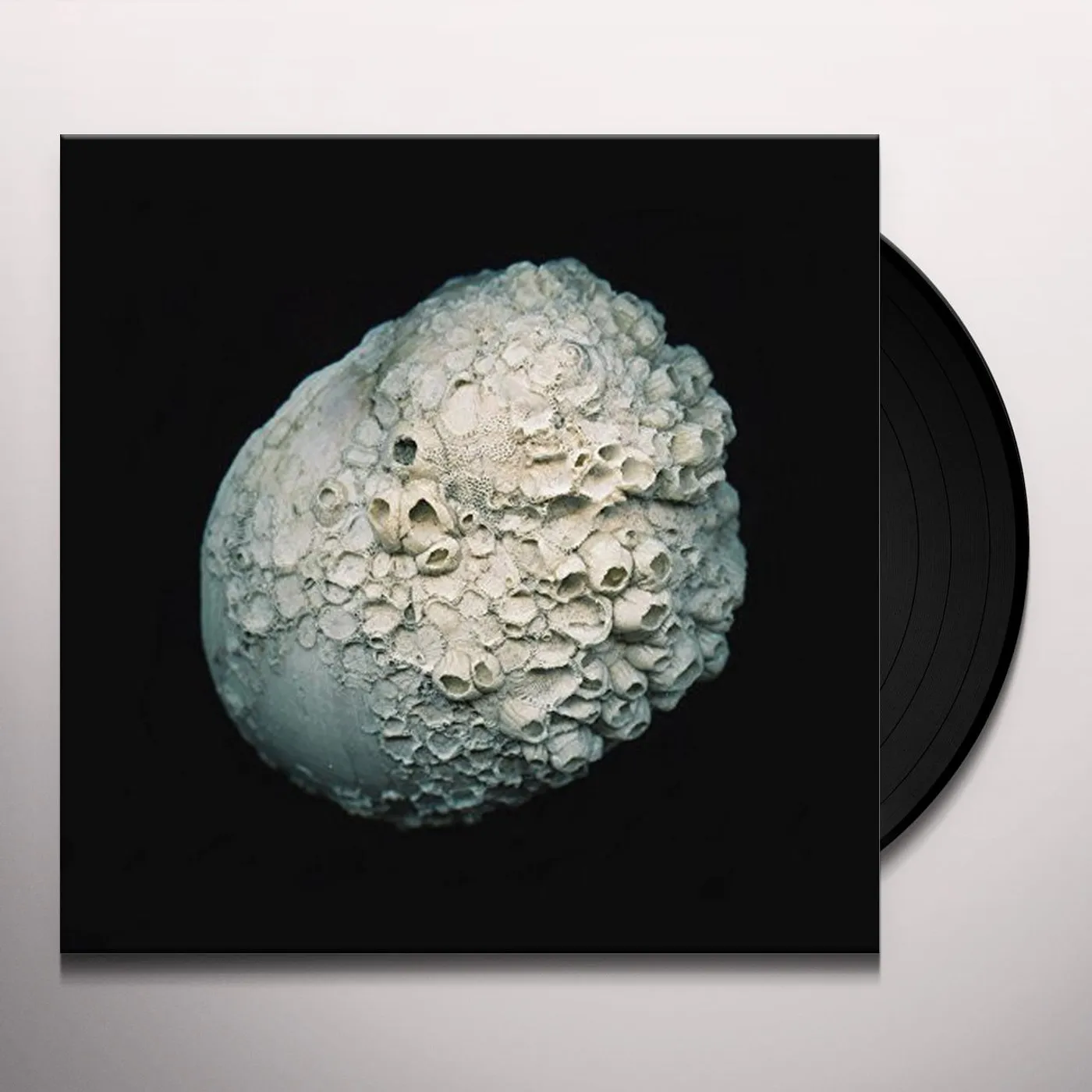 Sandrayati SAFE GROUND Vinyl Record