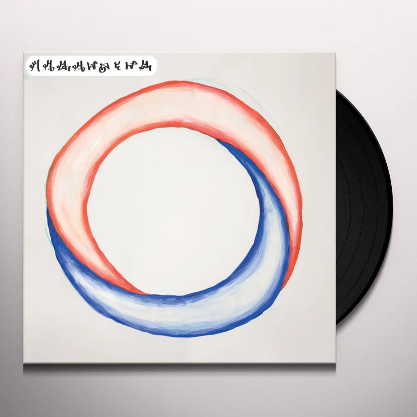 MARAUDEUR Vinyl Record