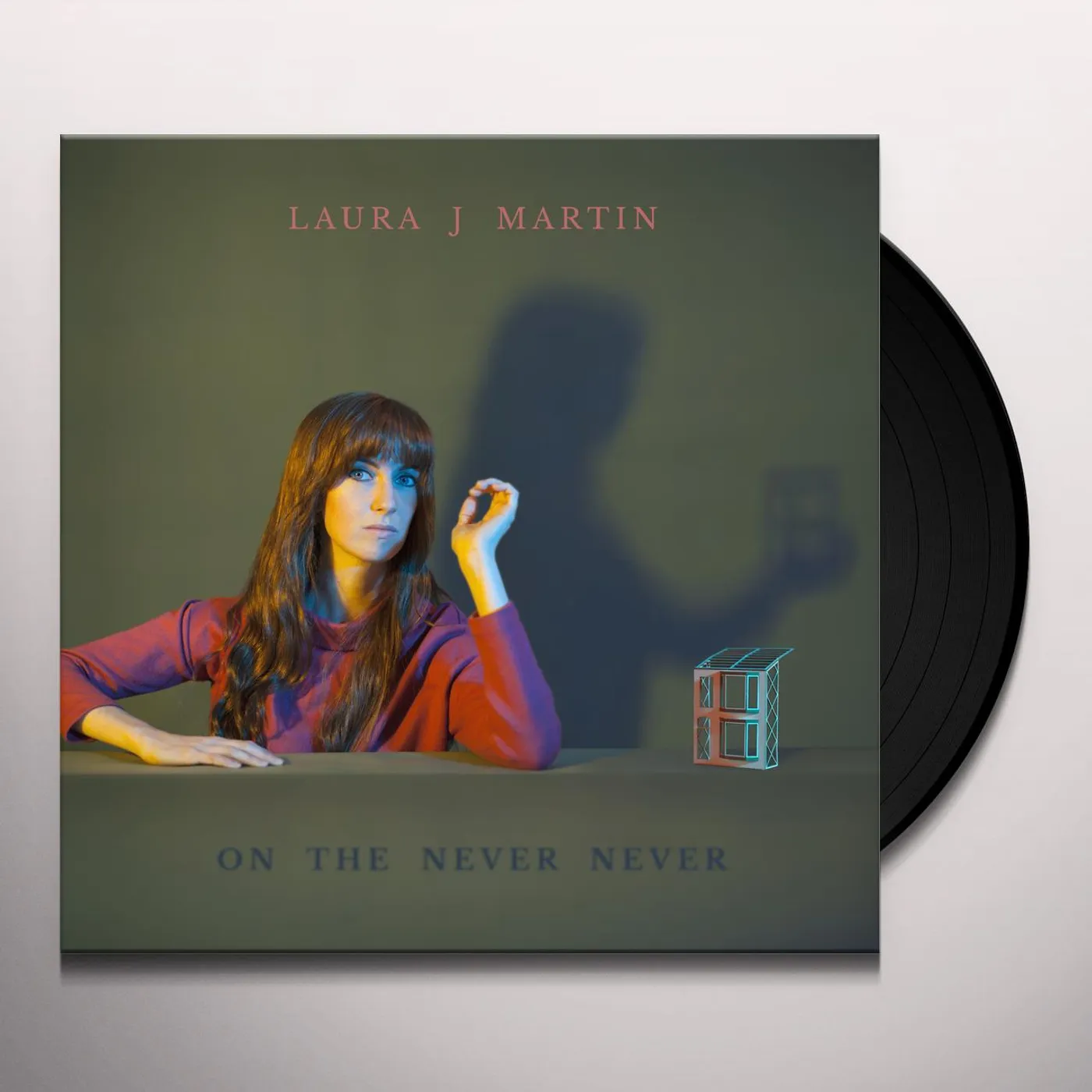 Laura J Martin On the Never Never Vinyl Record