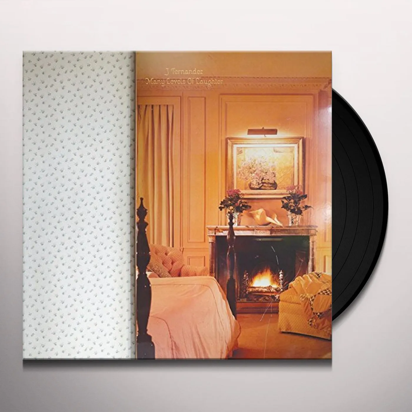J Fernandez Many Levels of Laughter Vinyl Record