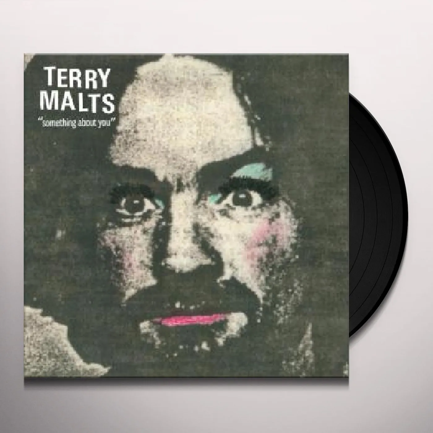 Terry Malts Something About You Vinyl Record