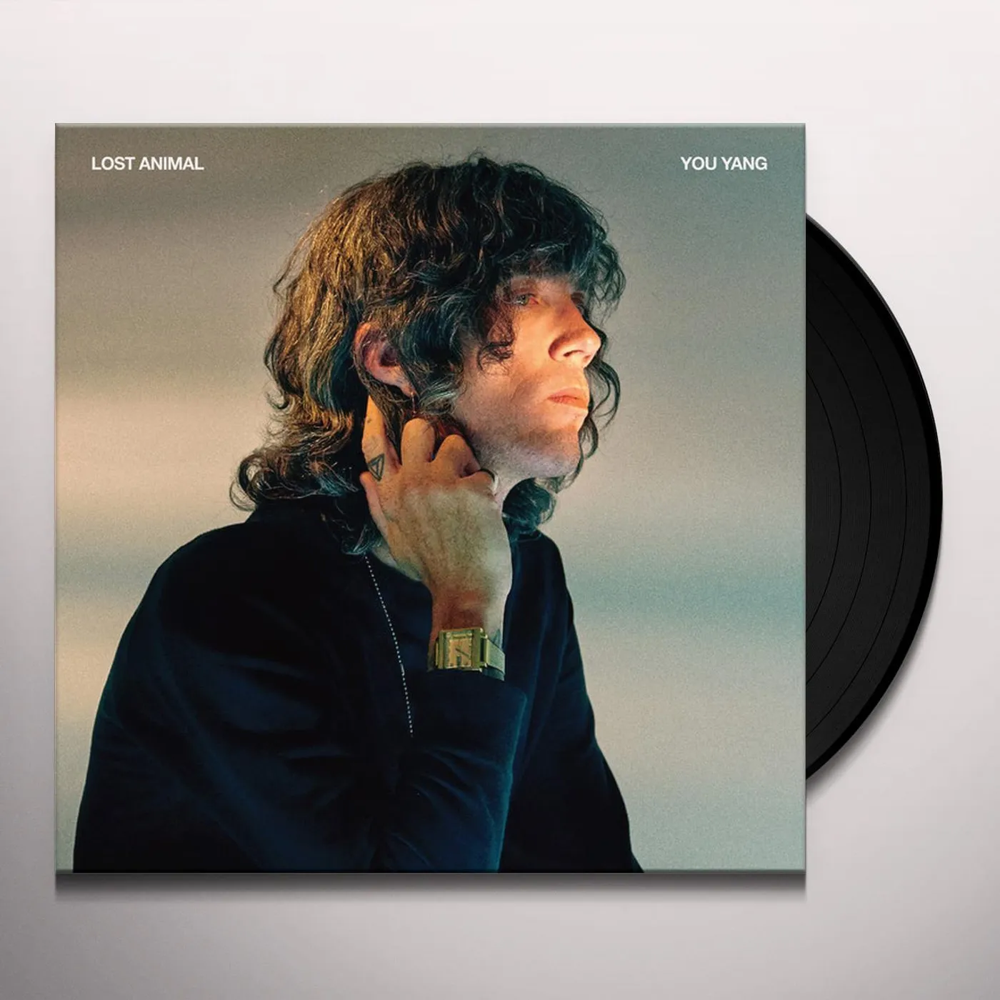 Lost Animal You Yang Vinyl Record