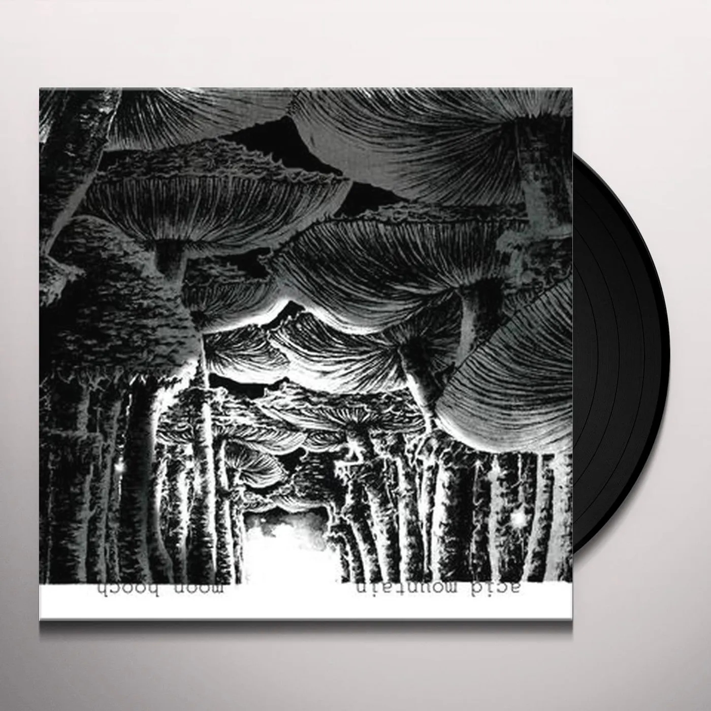 Moon Hooch Acid Mountain Vinyl Record
