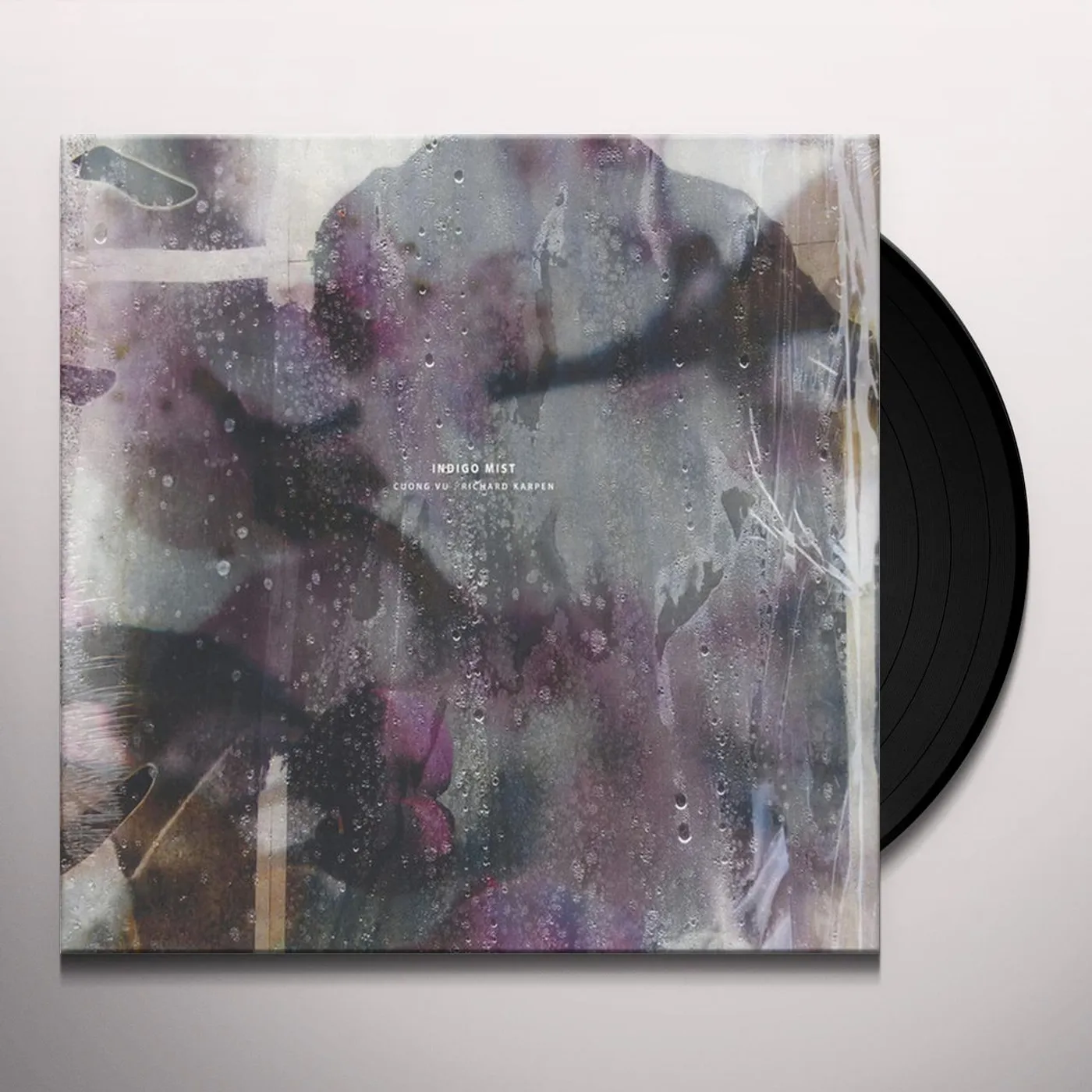 Indigo Mist That the Days Go by and Never Come Again Vinyl Record