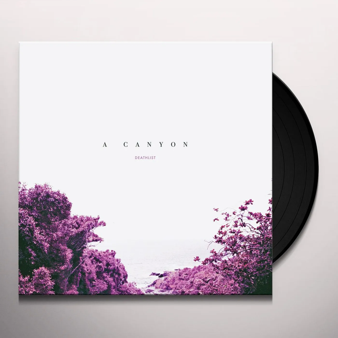 Deathlist A Canyon Vinyl Record