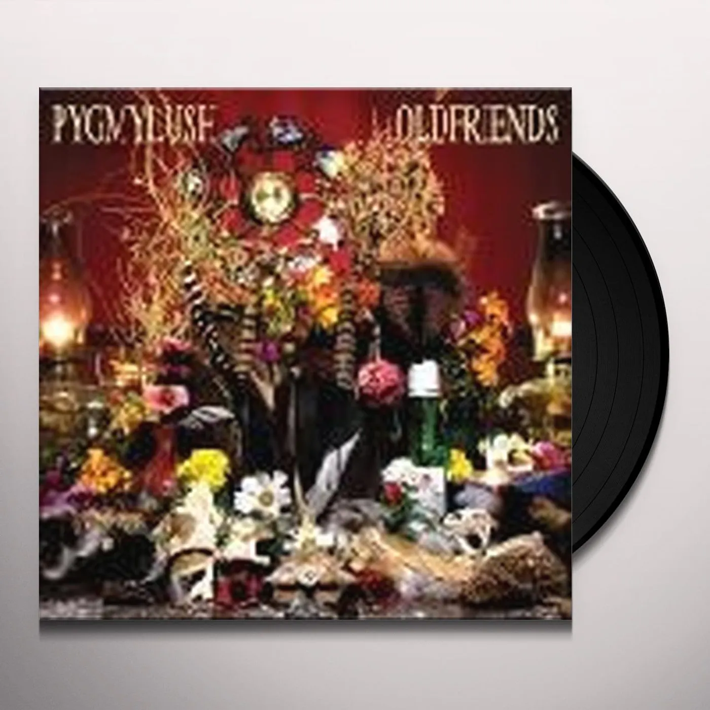 Pygmy Lush Old Friends Vinyl Record