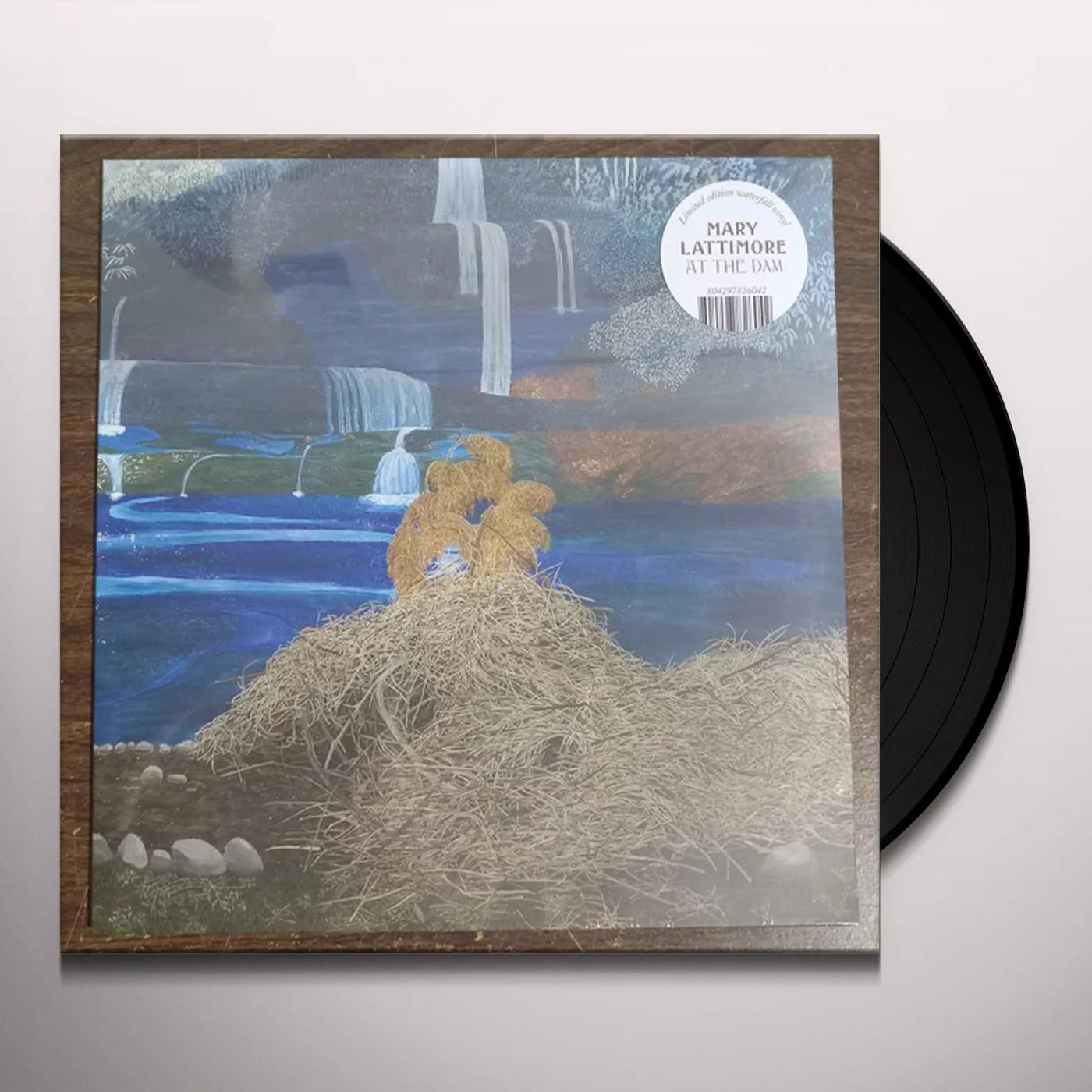 Mary Lattimore At the Dam Vinyl Record