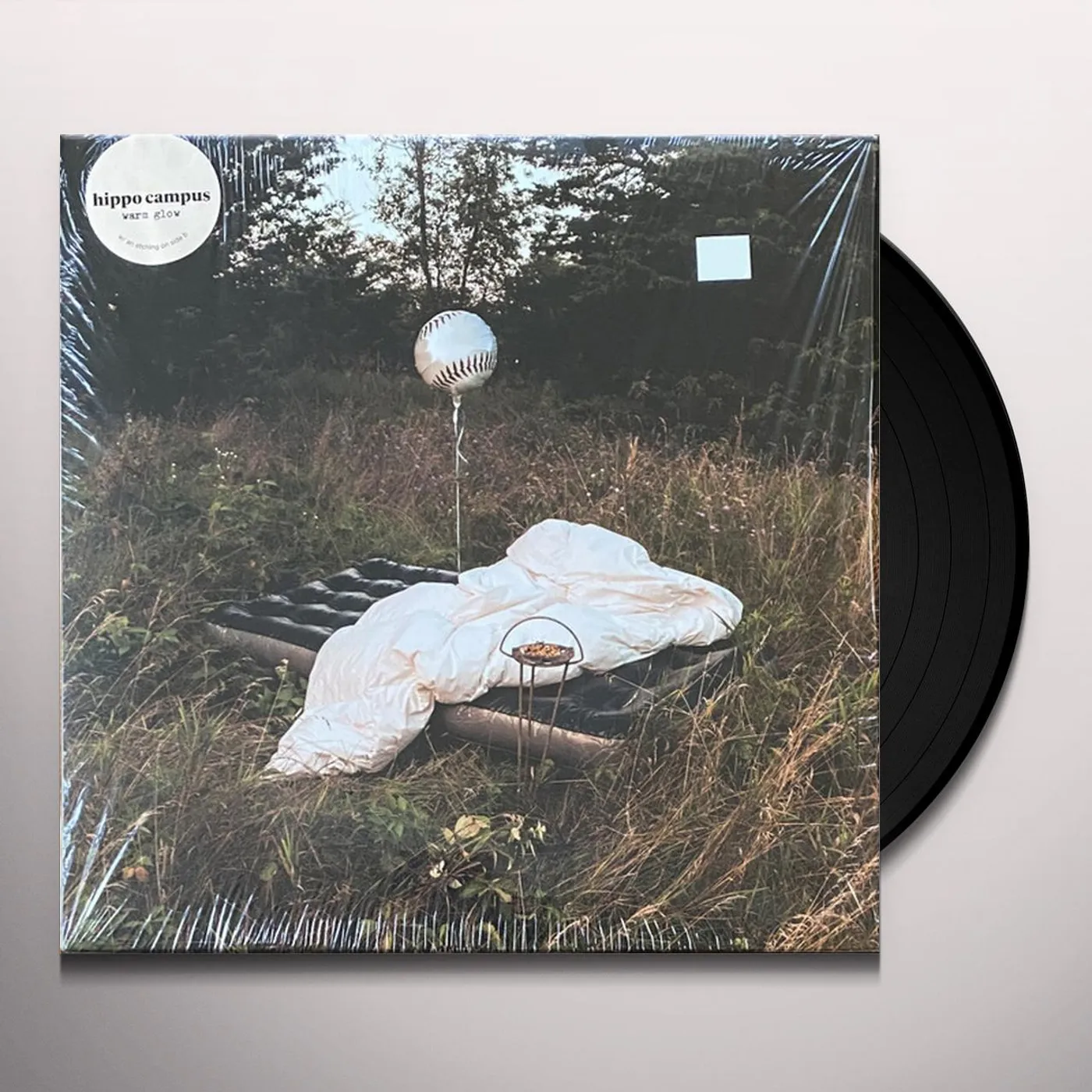 Hippo Campus WARM GLOW (ETCHED SIDE 2) Vinyl Record