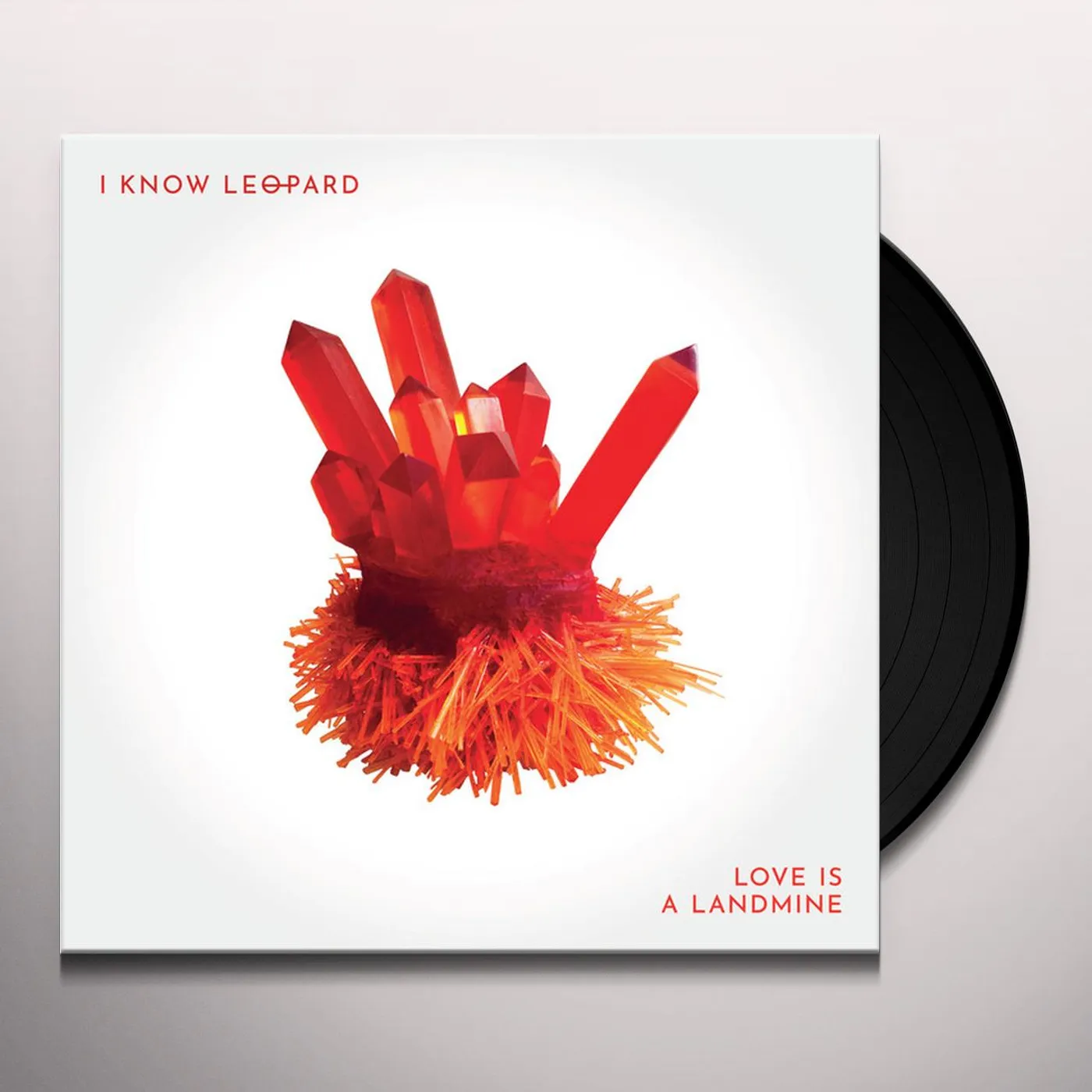 I Know Leopard Love Is A Landmine Vinyl Record