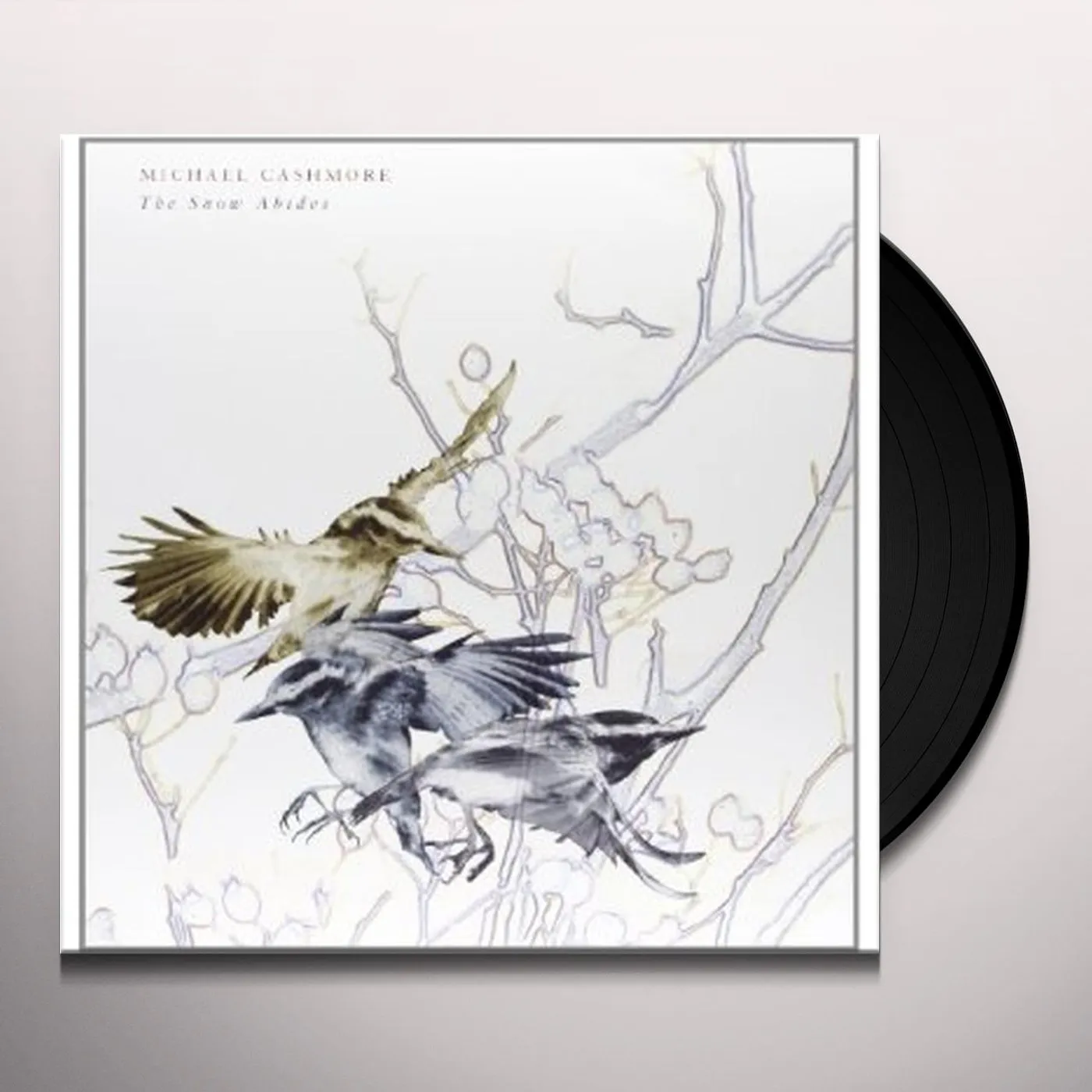 Michael Cashmore SNOW ABIDES Vinyl Record