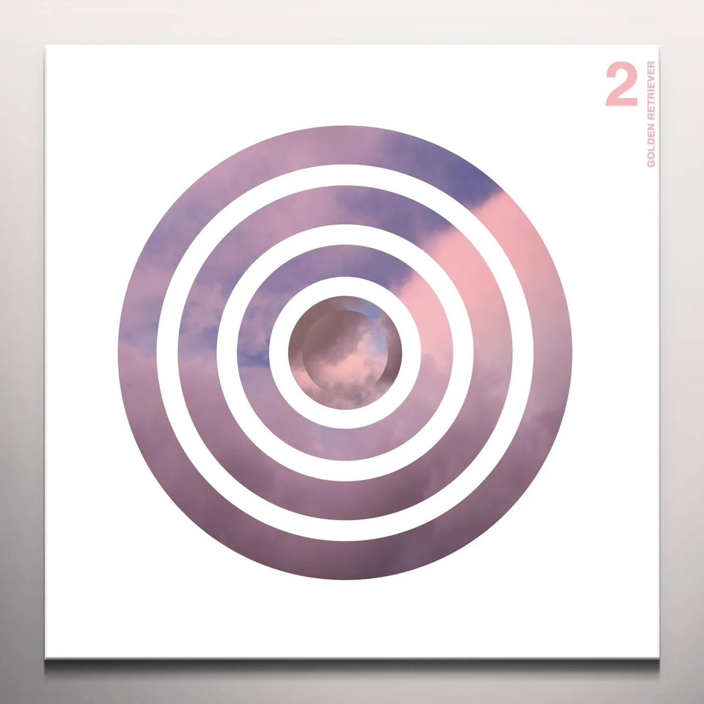 Golden Retriever 2 Vinyl Record
