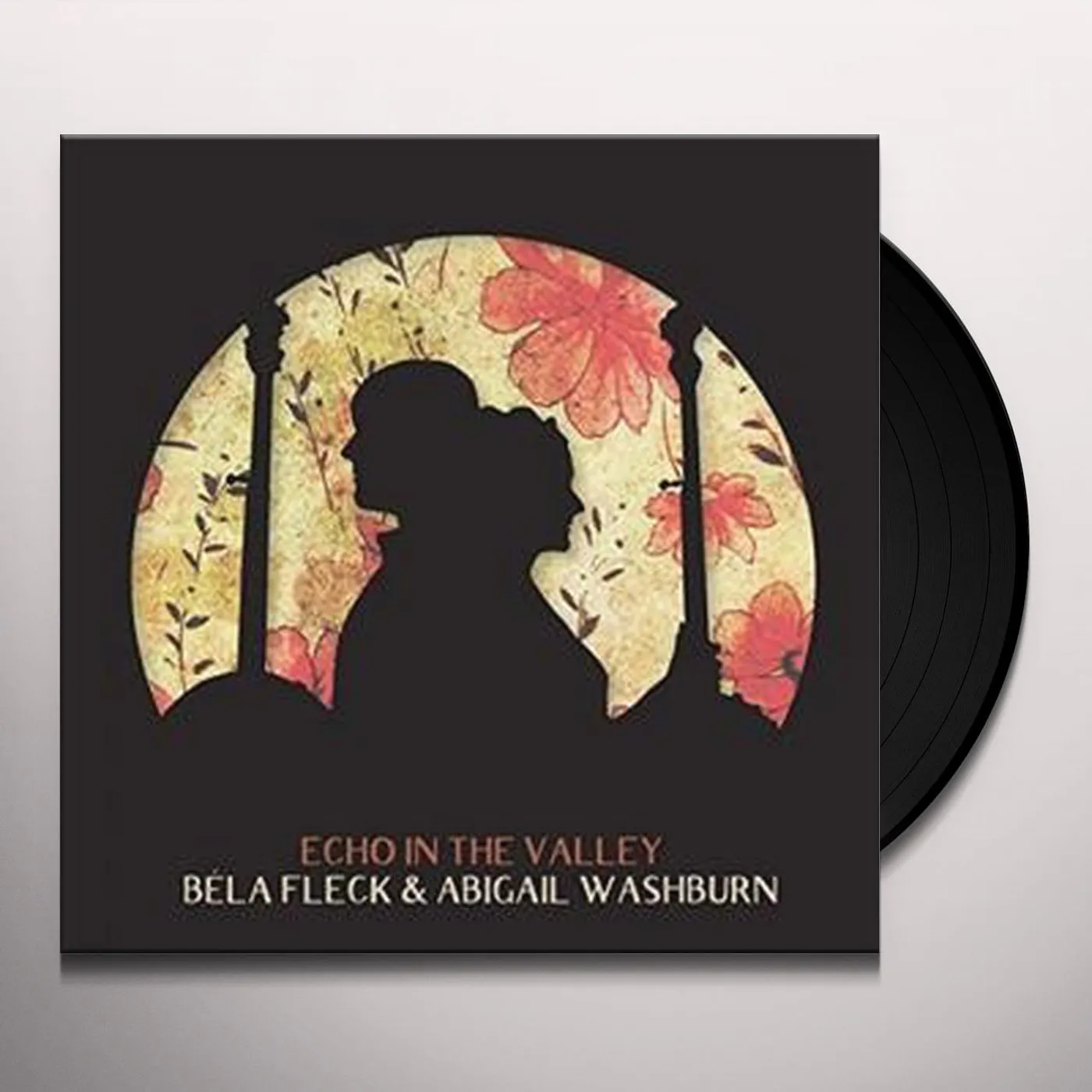 Bela Fleck & Abigail Washburn ECHO IN THE VALLEY (LP) Vinyl Record