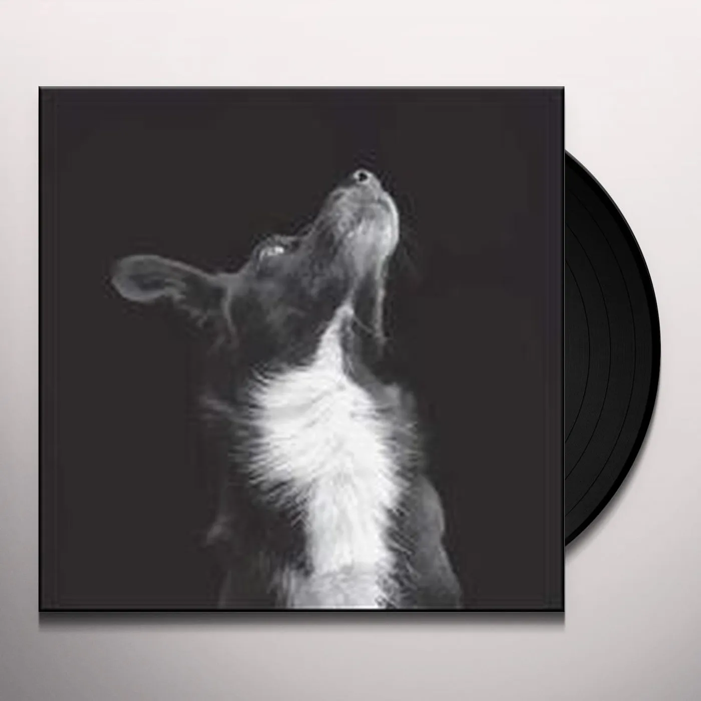 Be Svendsen Catchpenny & Cosmos Vinyl Record