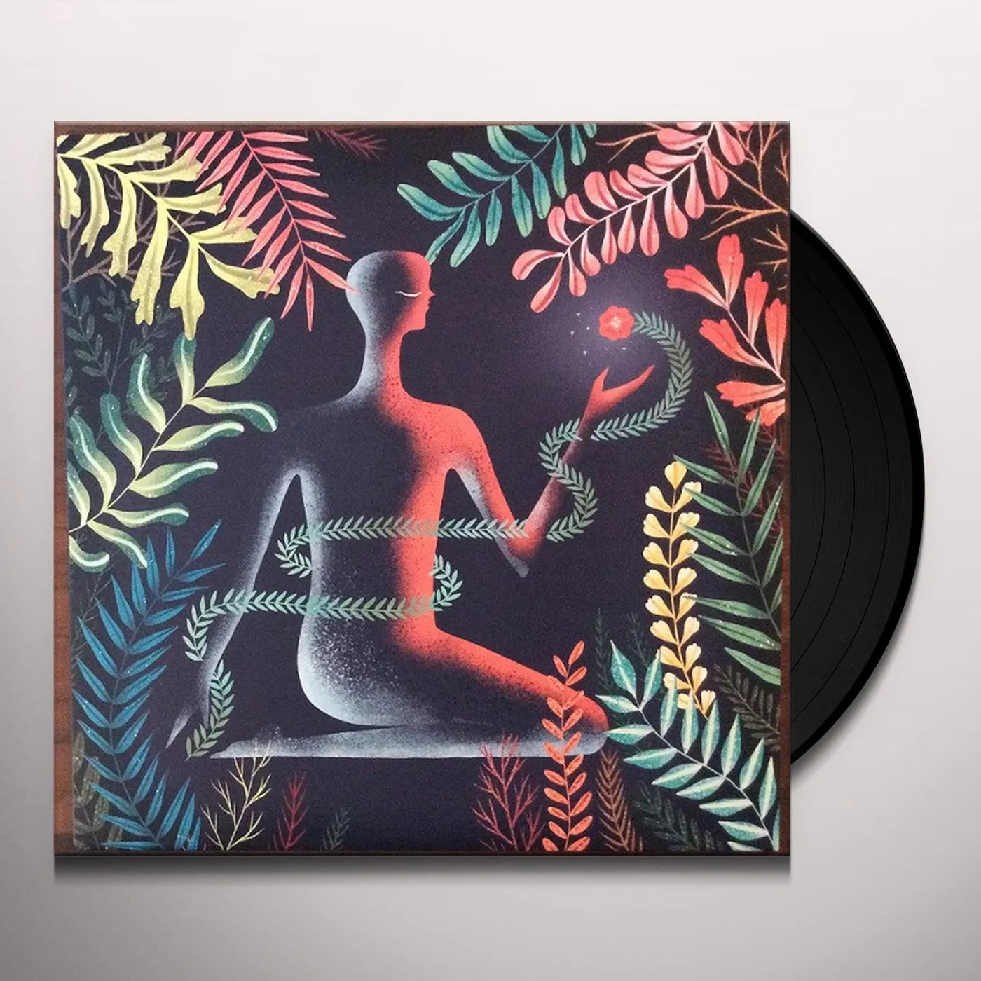 Loma Don't Shy Away Vinyl Record