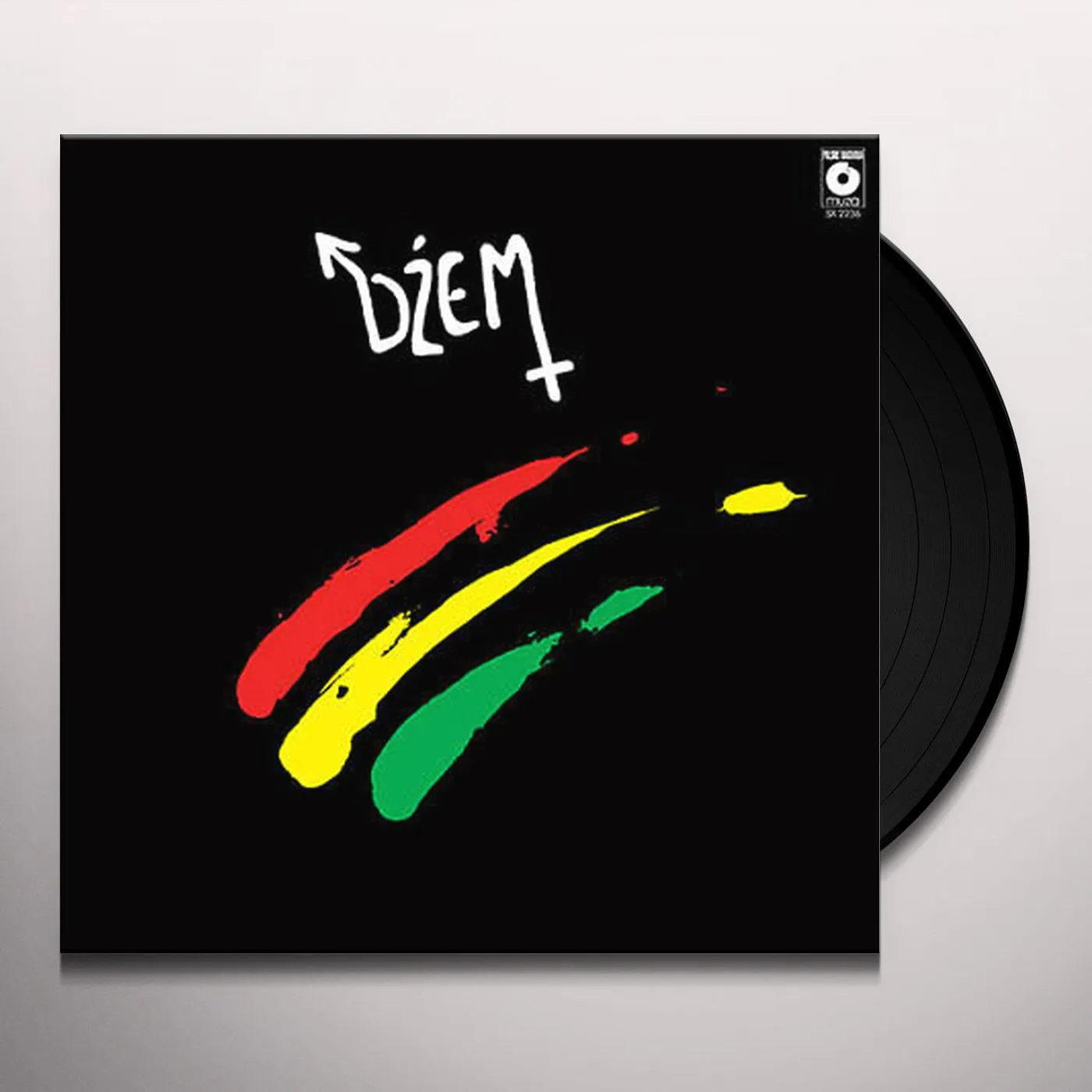 Dzem Cegla Vinyl Record