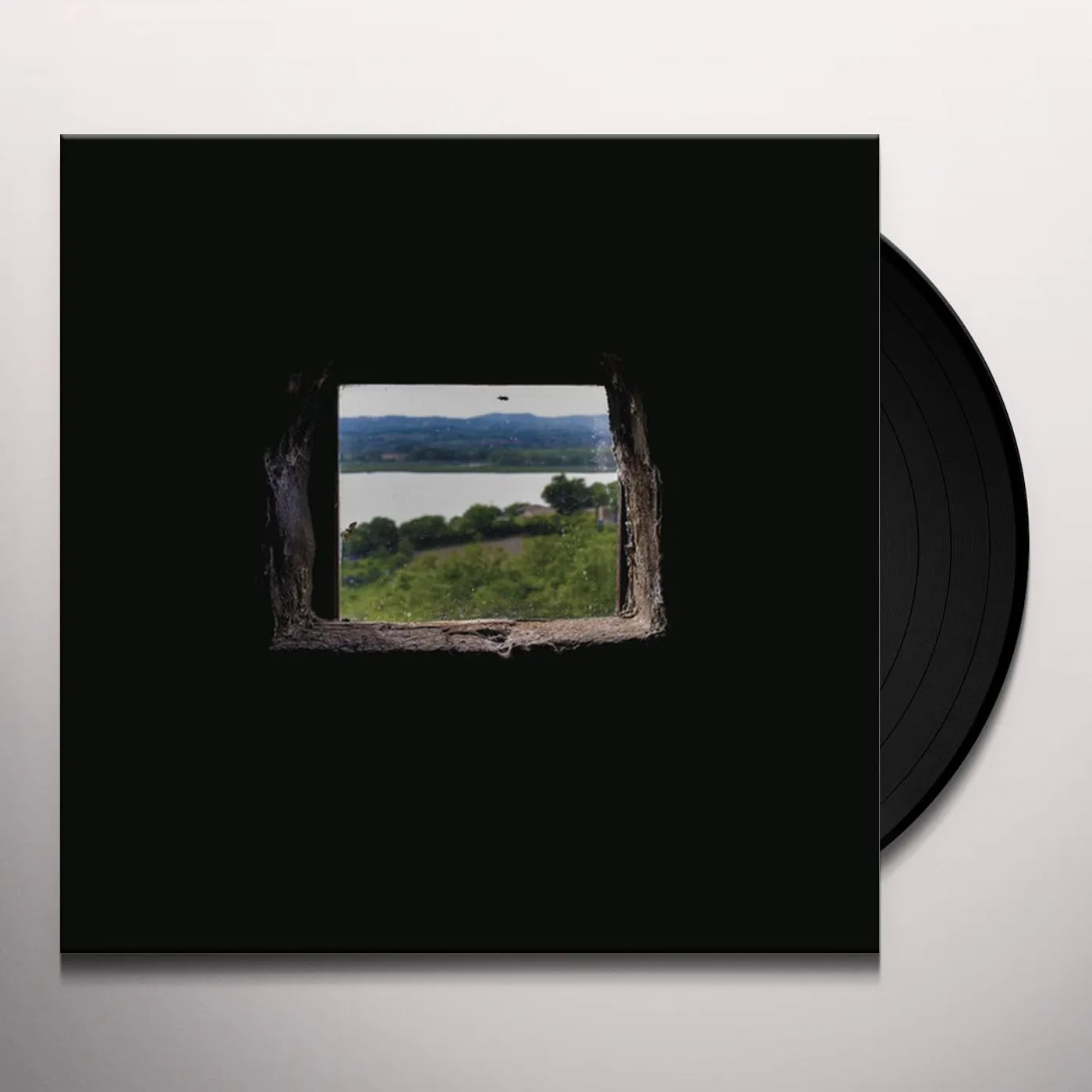 Fast Animals and Slow Kids Alaska Vinyl Record