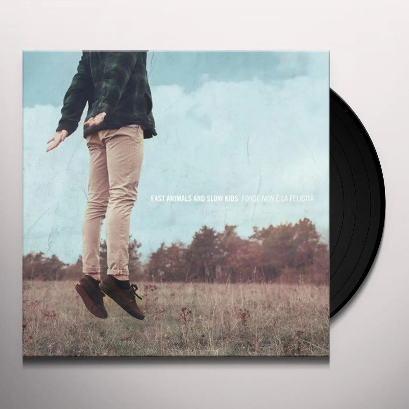 Fast Animals and Slow Kids FORSE NON E LA FELICITA Vinyl Record