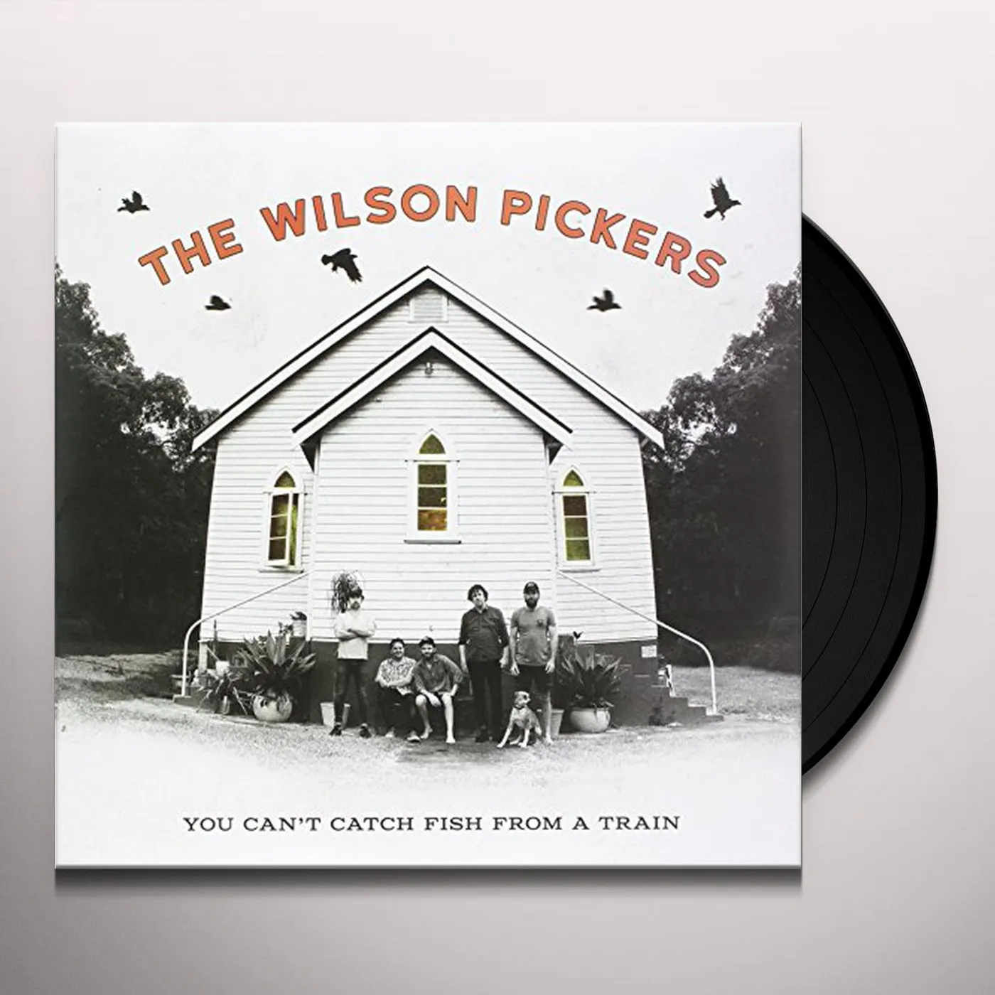 The Wilson Pickers You Can't Catch Fish From A Train Vinyl Record