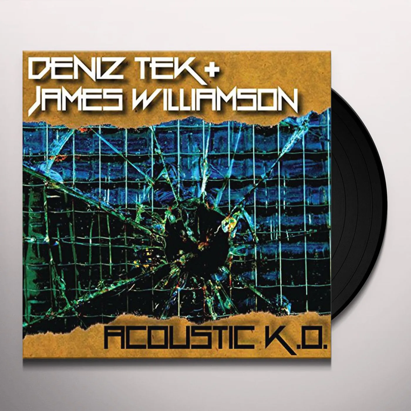 Deniz Tek / James Williamson ACOUSTIC K.O. Vinyl Record