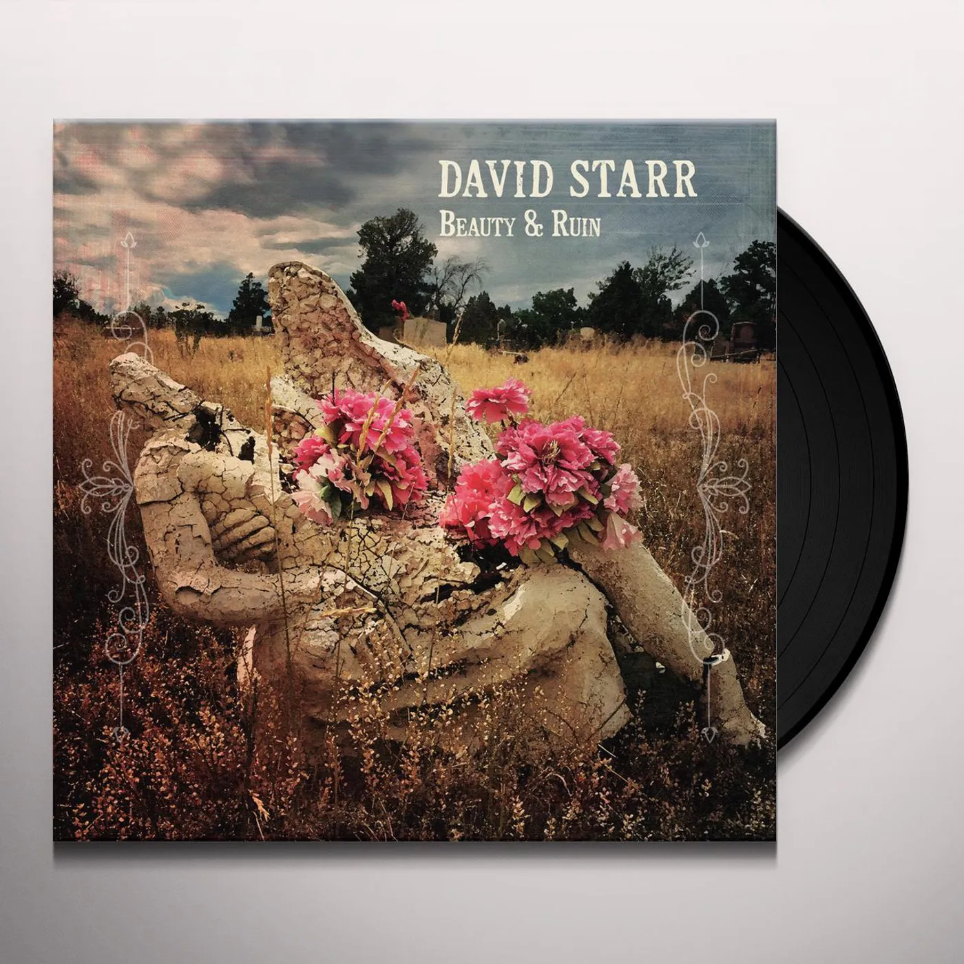 David Starr Beauty & Ruin Vinyl Record