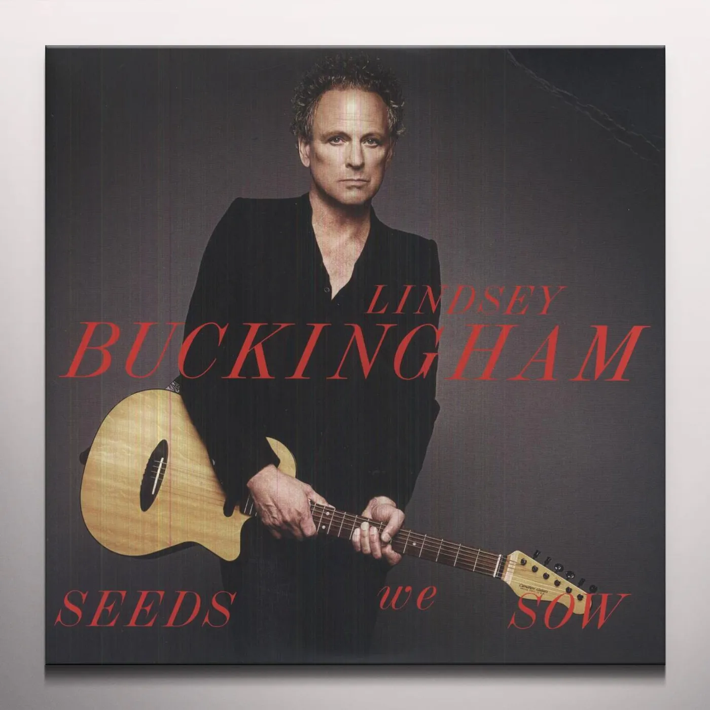 Lindsey Buckingham Seeds We Sow Vinyl Record