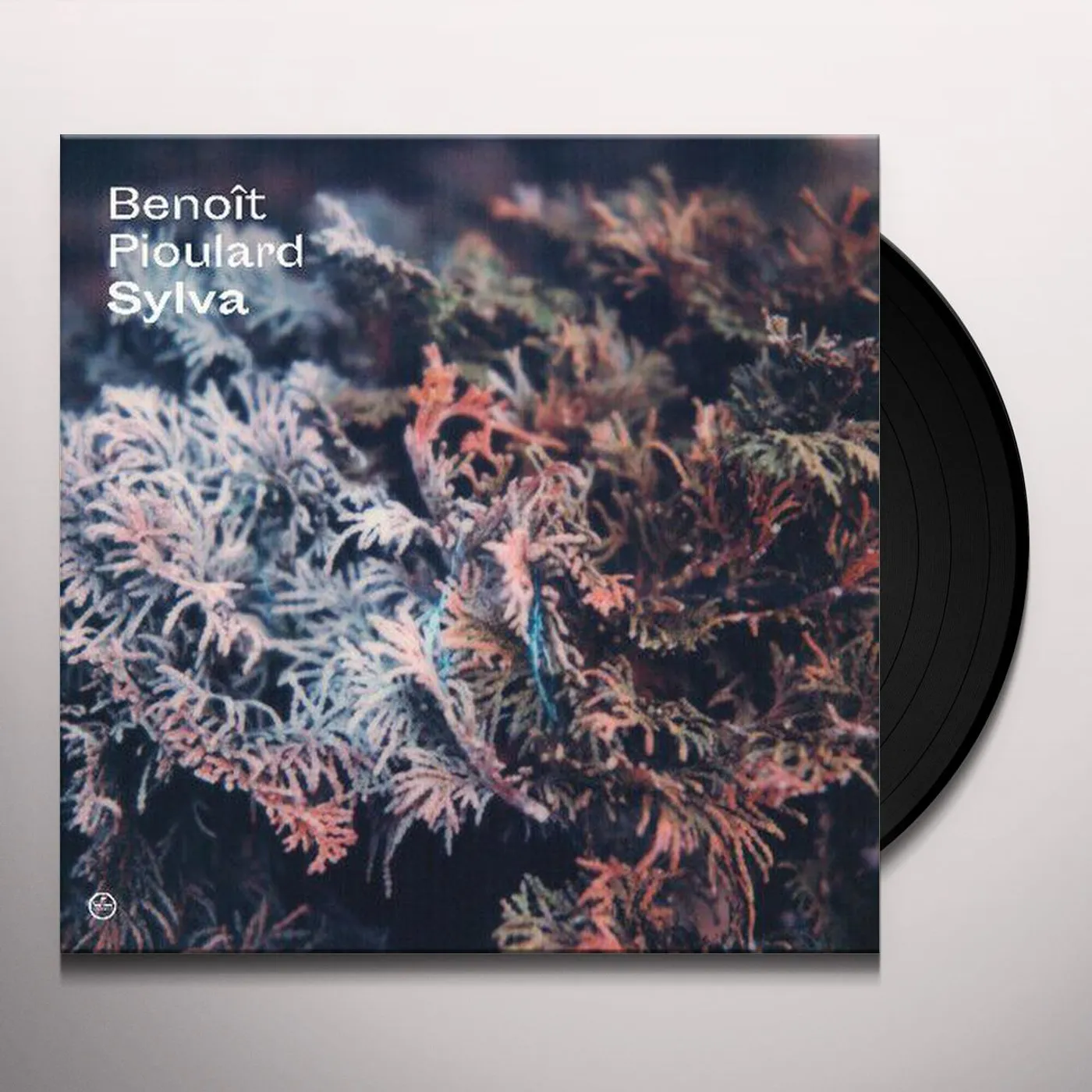 Benoît Pioulard 59961 Sylva Vinyl Record