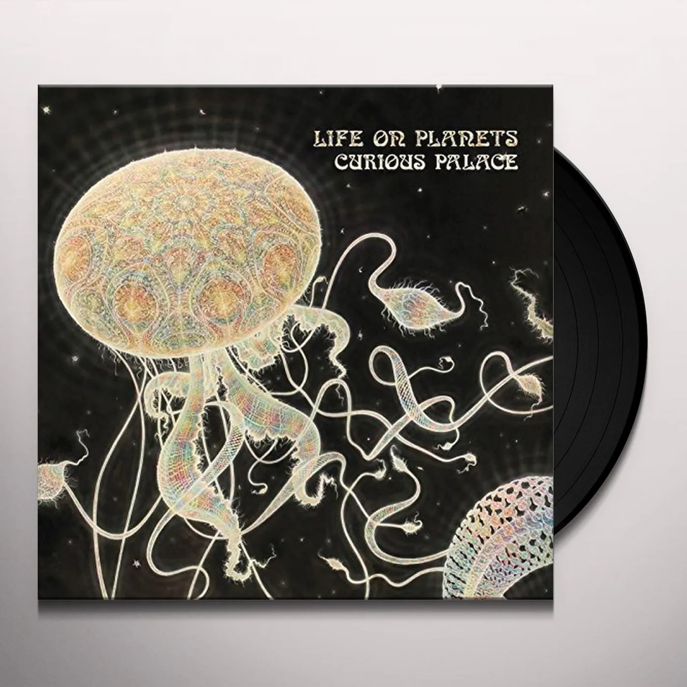Life on Planets Curious Palace Vinyl Record