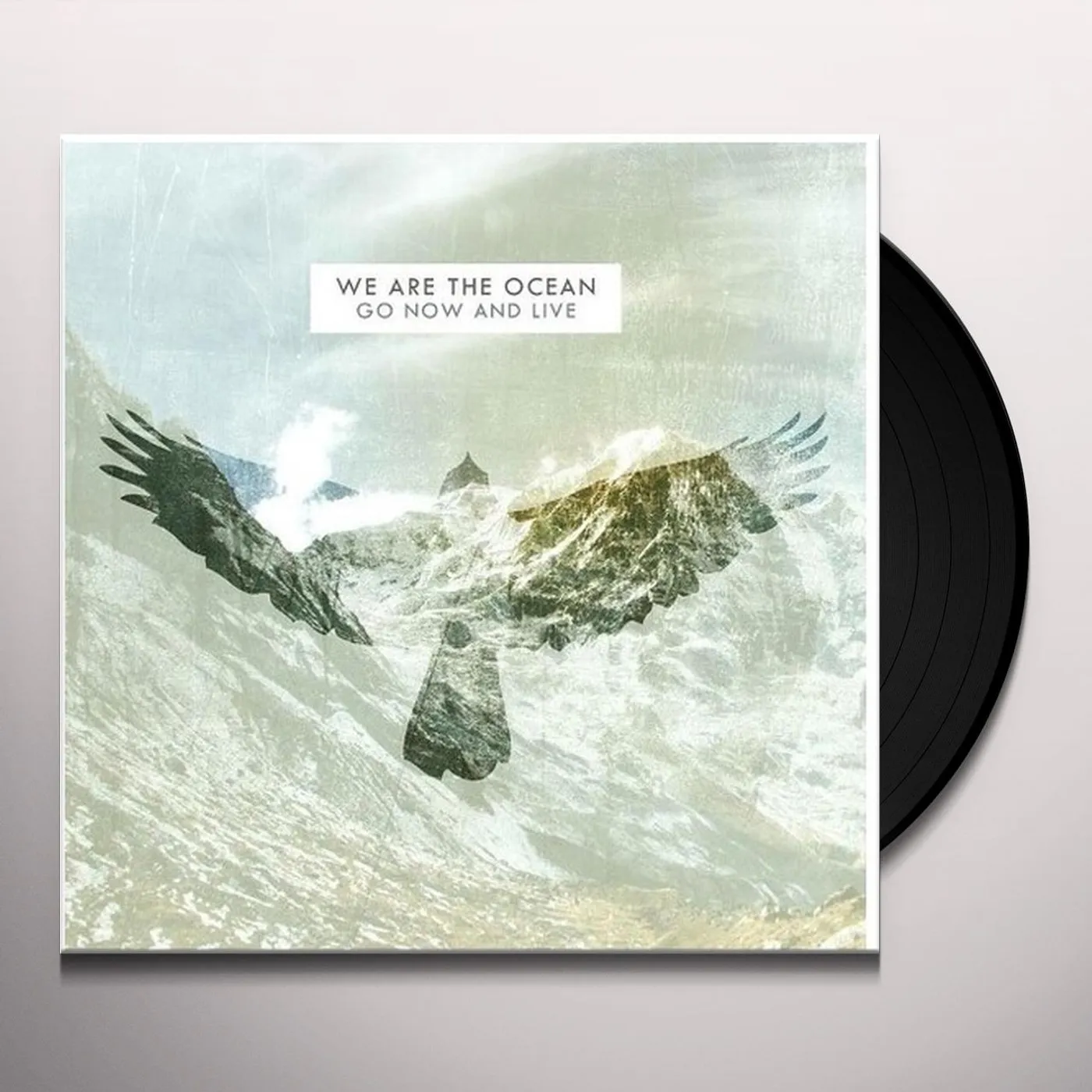 We Are The Ocean GO NOW & LIVE (10TH ANNIVERSARY VINYL PRESSING) Vinyl Record