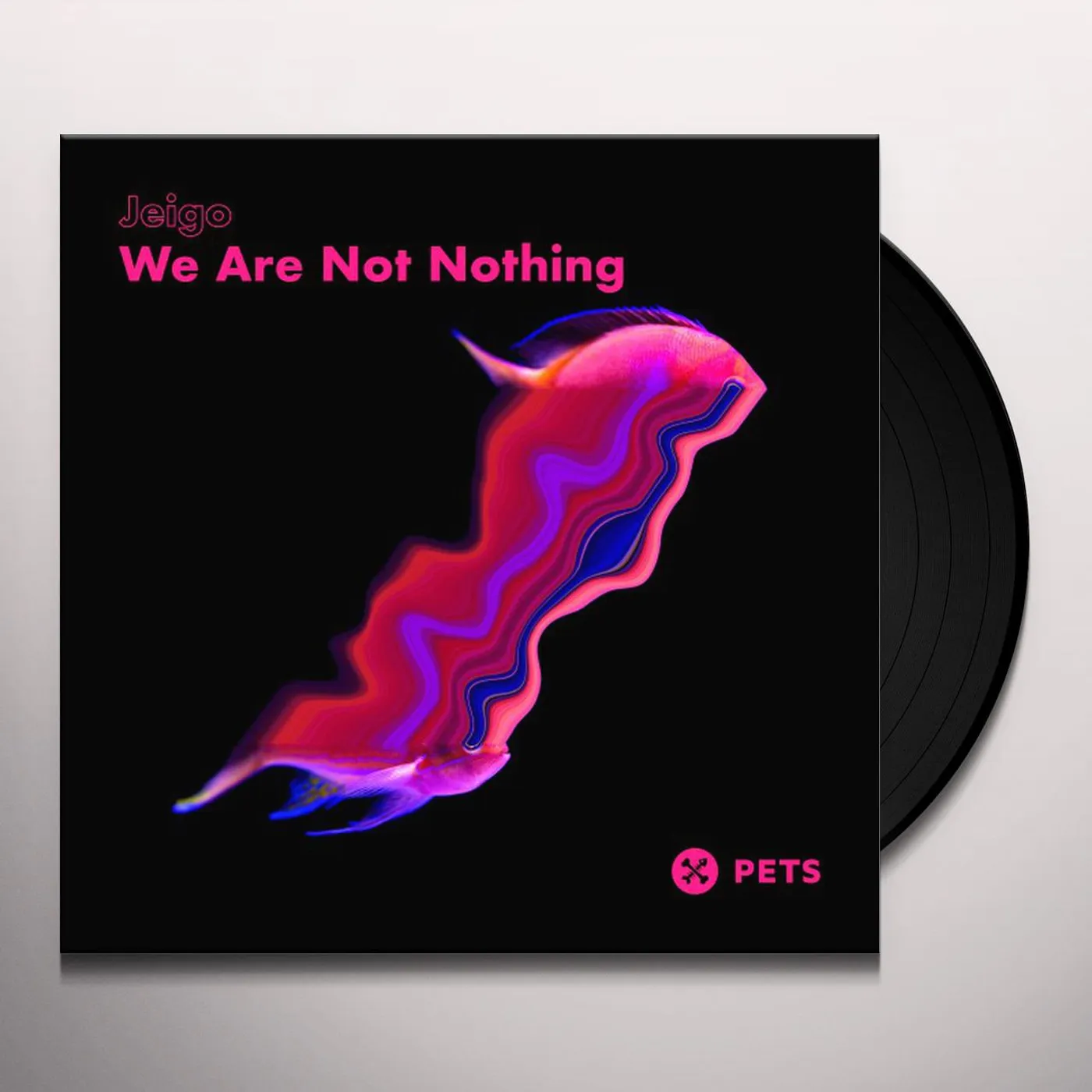Jeigo We Are Not Nothing Vinyl Record