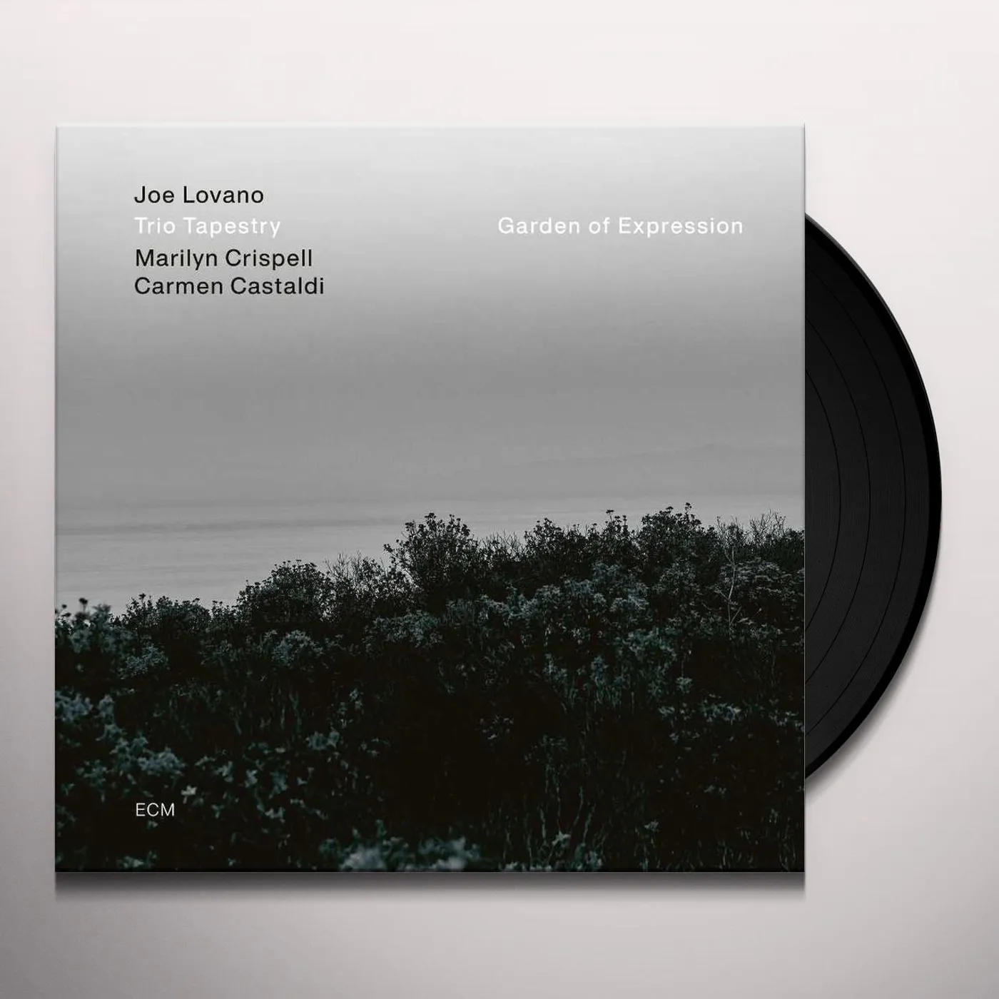 Joe Lovano / Marilyn Crispell / Carmen Castaldi Garden Of Expression Vinyl Record