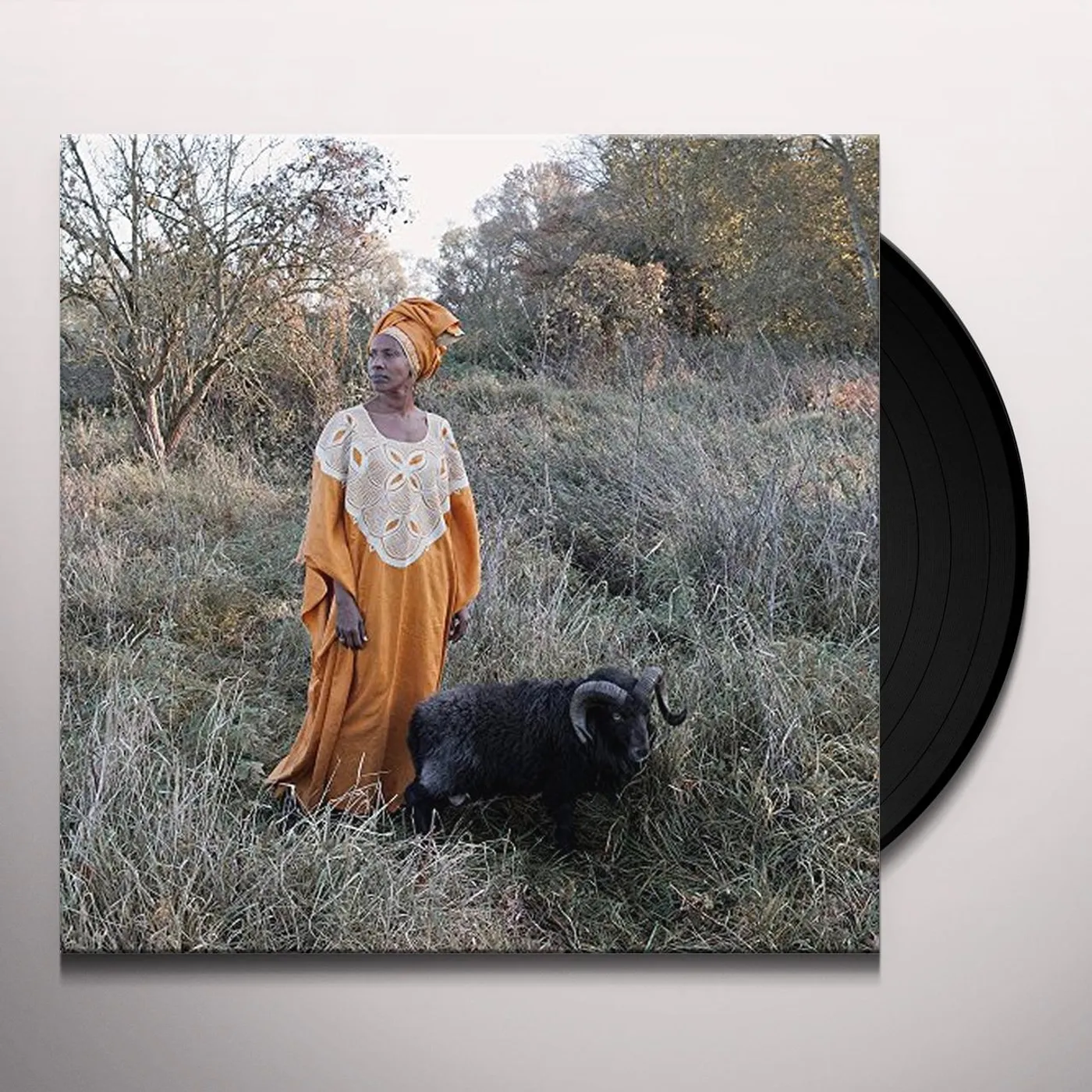 Ølten Mode Vinyl Record