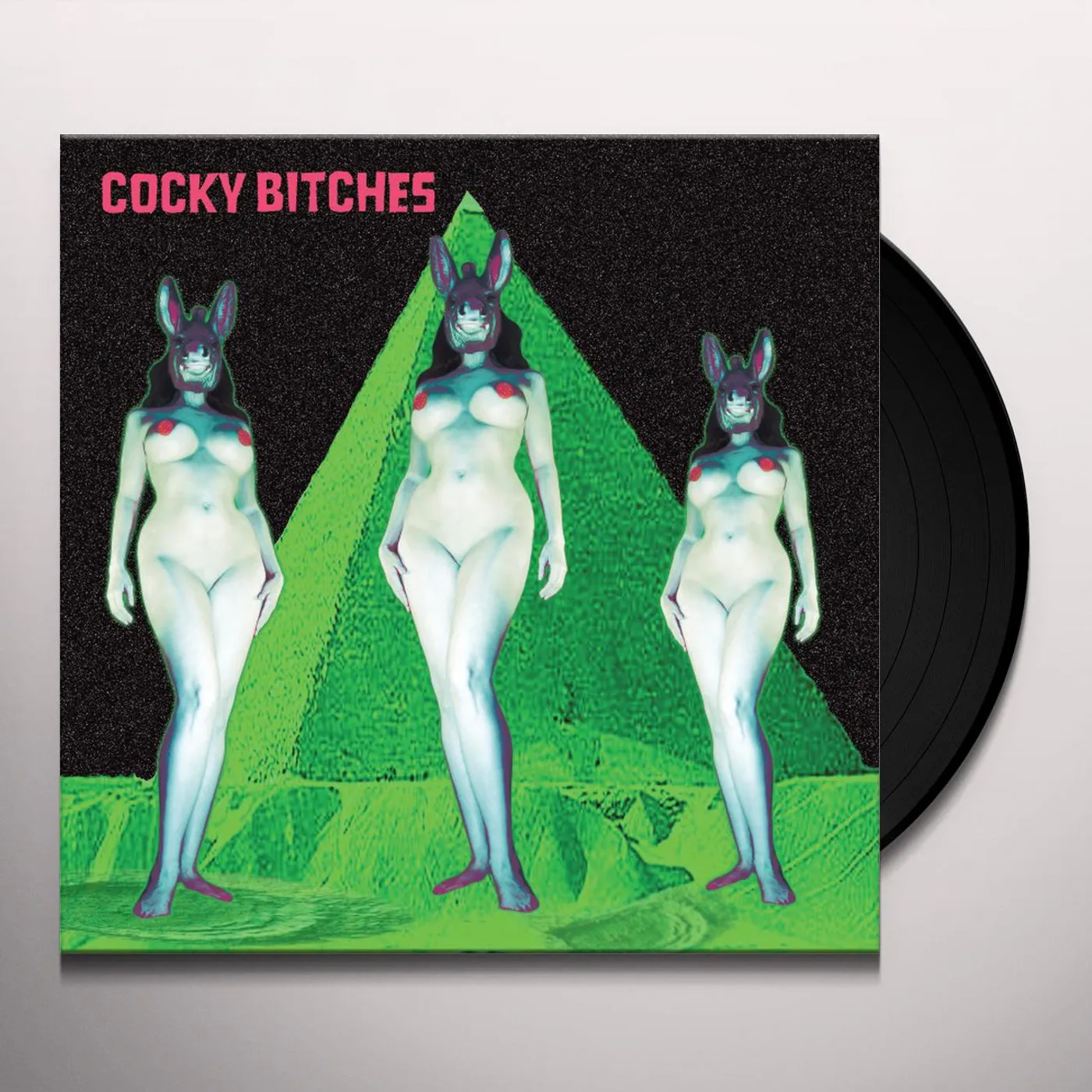 The Cocky Bitches TV'S OK Vinyl Record