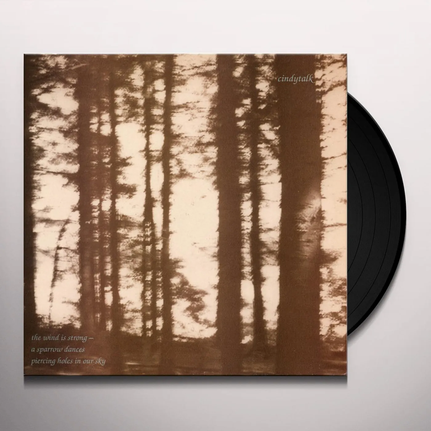 Cindytalk WIND IS STRONG Vinyl Record