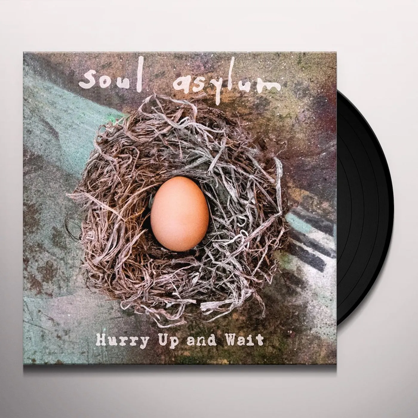 Soul Asylum Hurry Up and Wait Vinyl Record