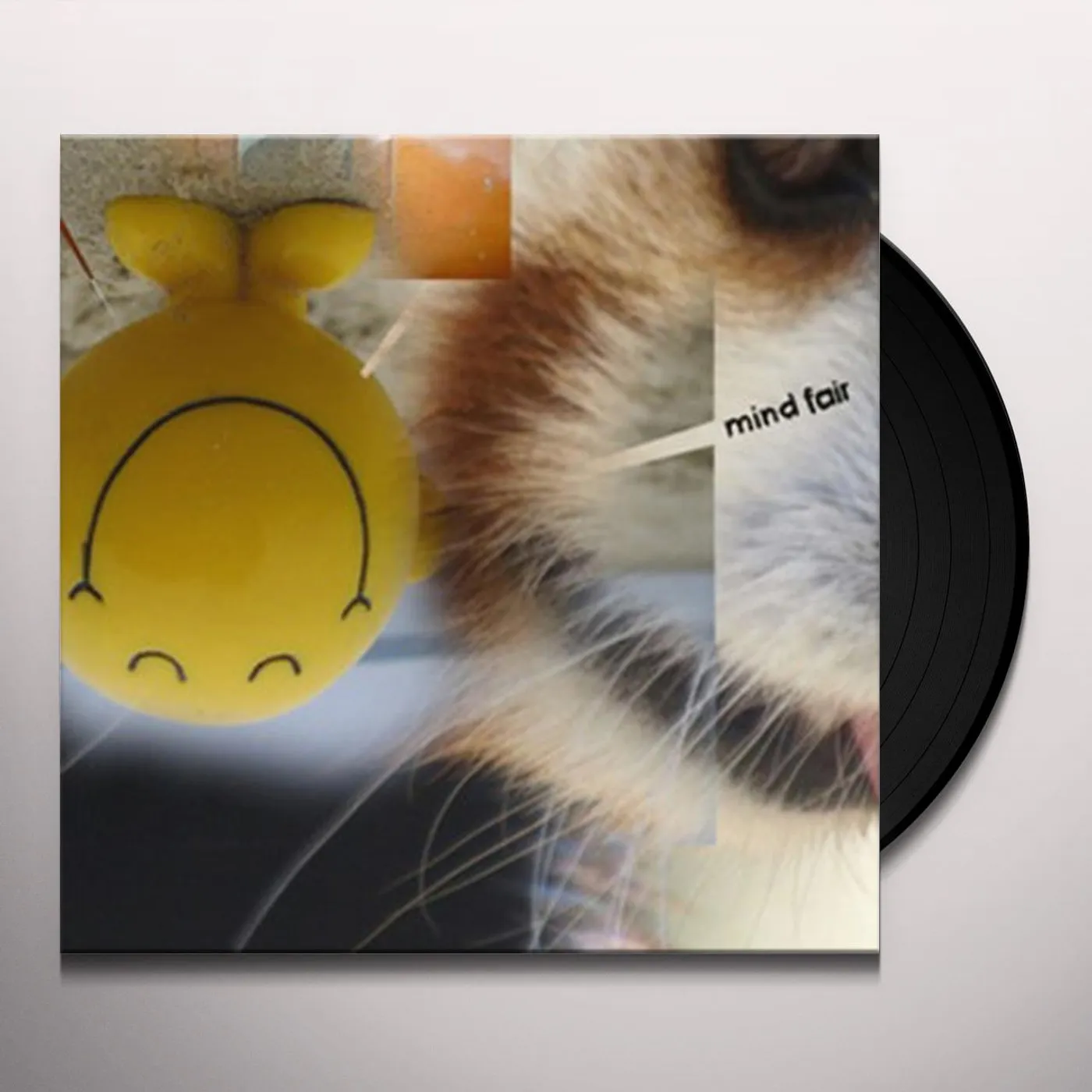 The Mind FAIR Vinyl Record