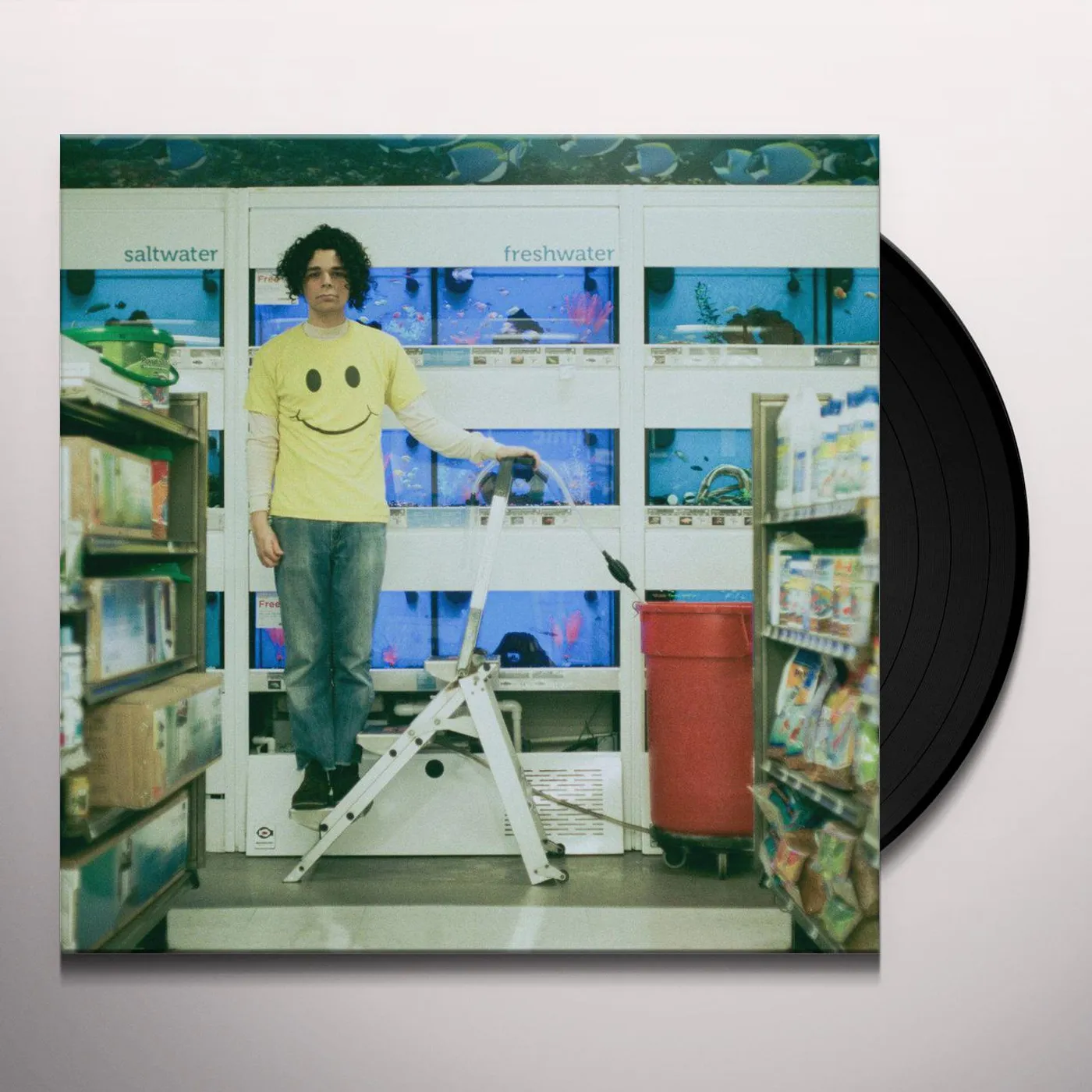 Charlie Hickey Count The Stairs Vinyl Record