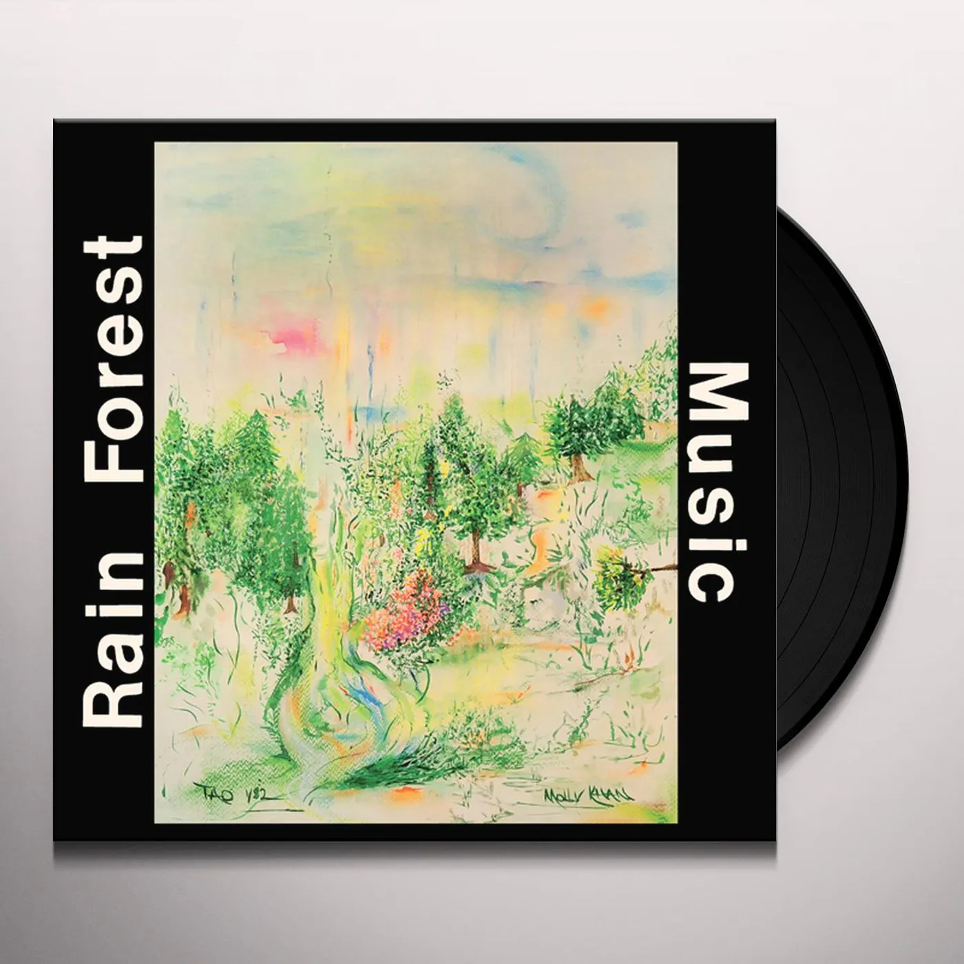 J.D. Emmanuel Rain Forest Music Vinyl Record