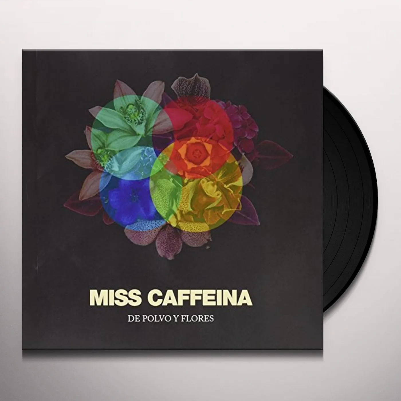 Miss Caffeina De polvo y flores Vinyl Record