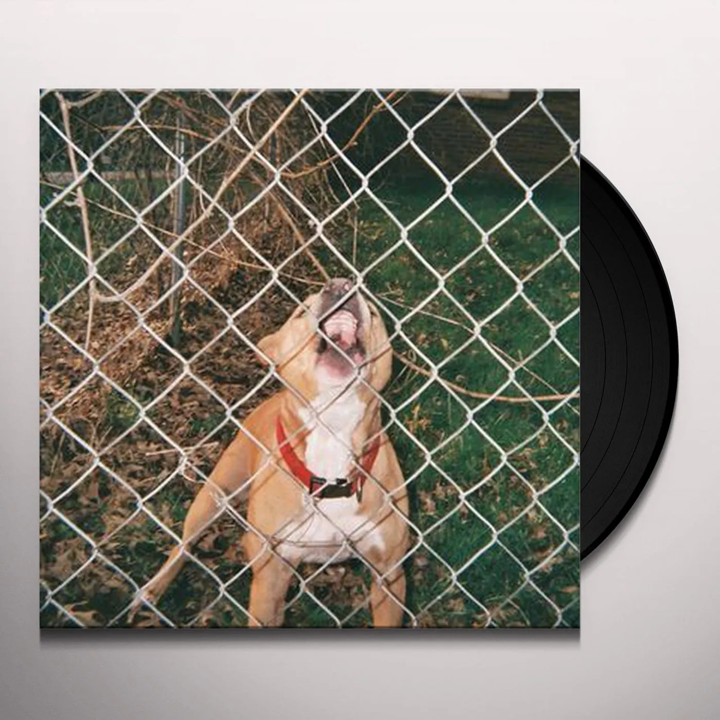Knocked Loose Pop Culture Vinyl Record