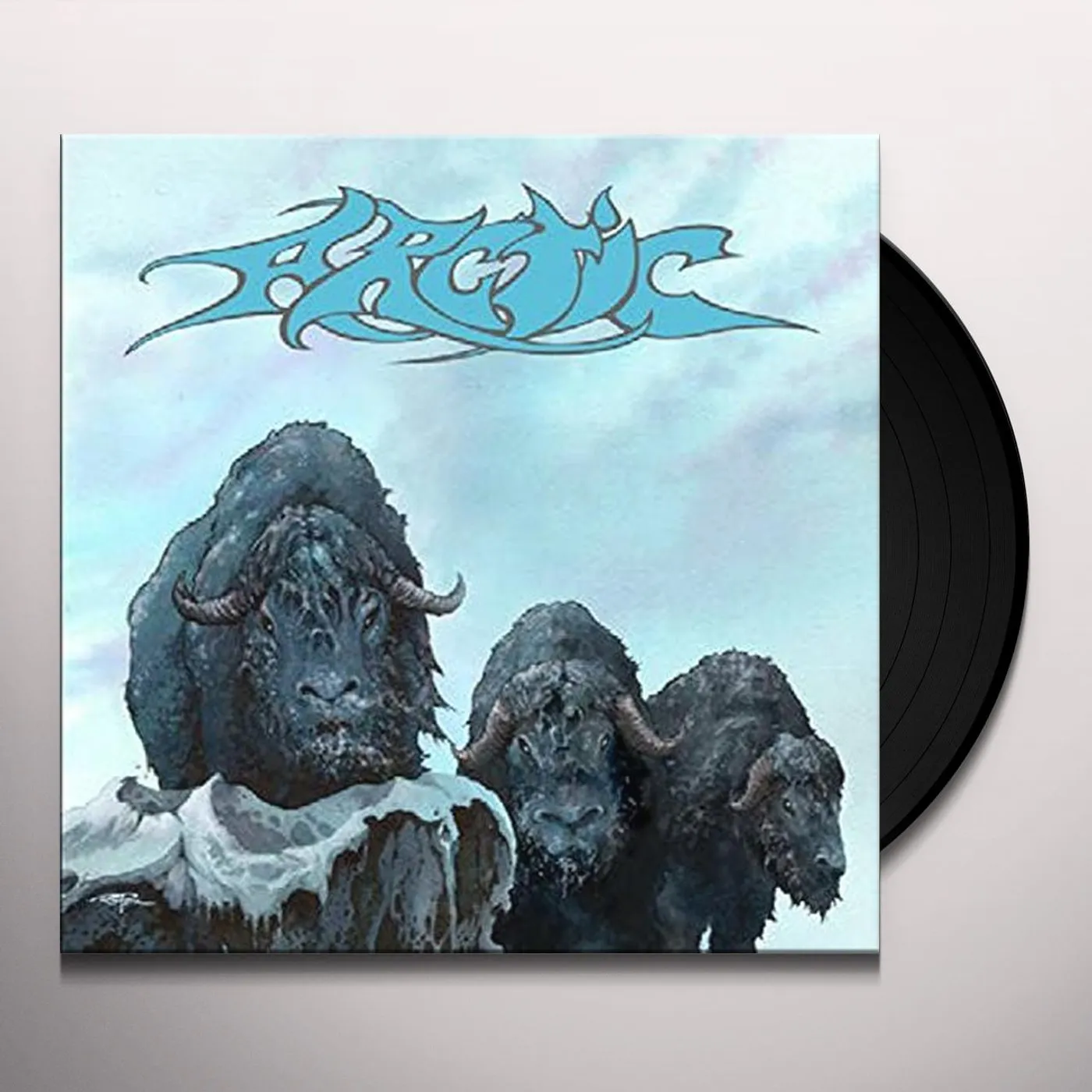 ARCTIC Vinyl Record
