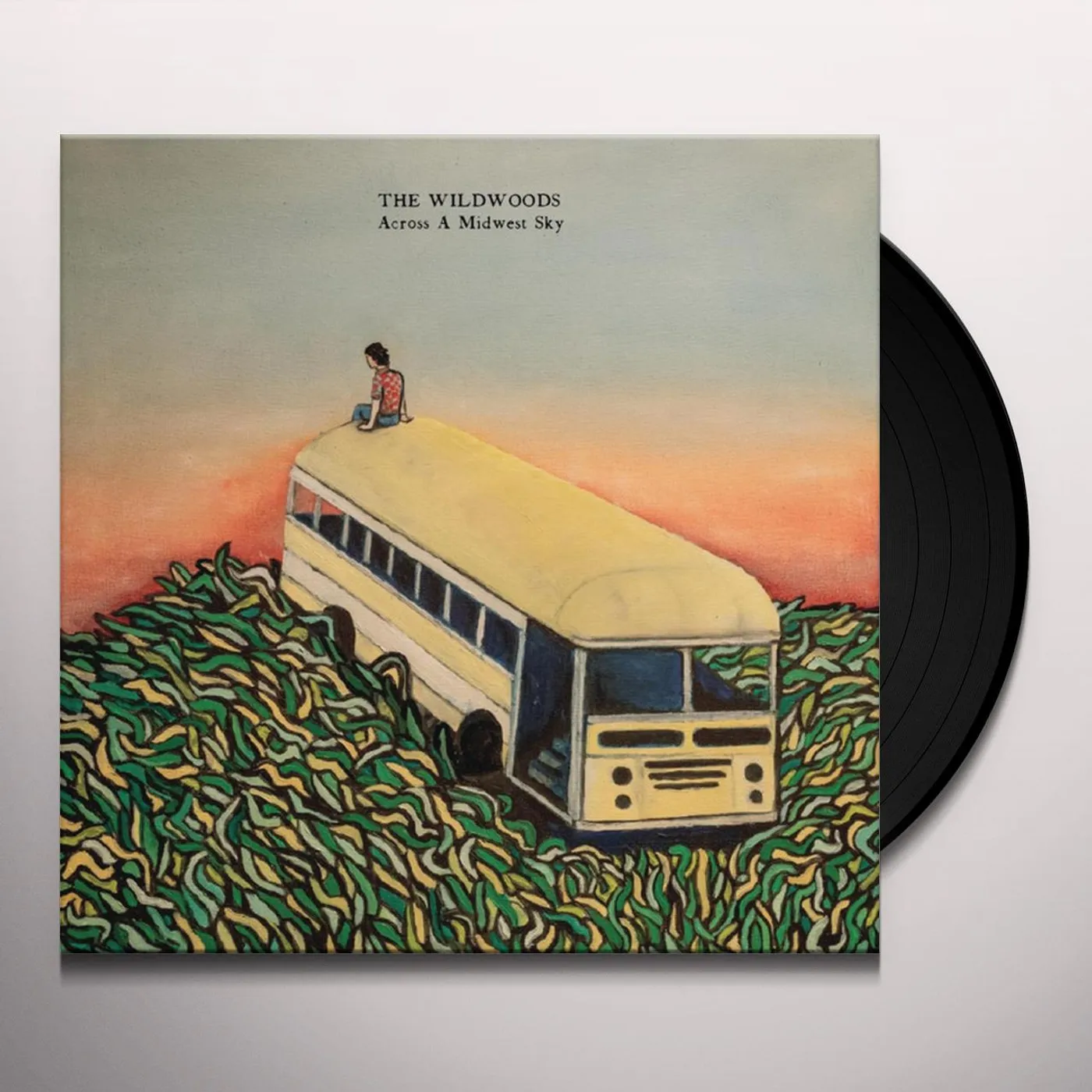 The Wildwoods Across a Midwest Sky Vinyl Record