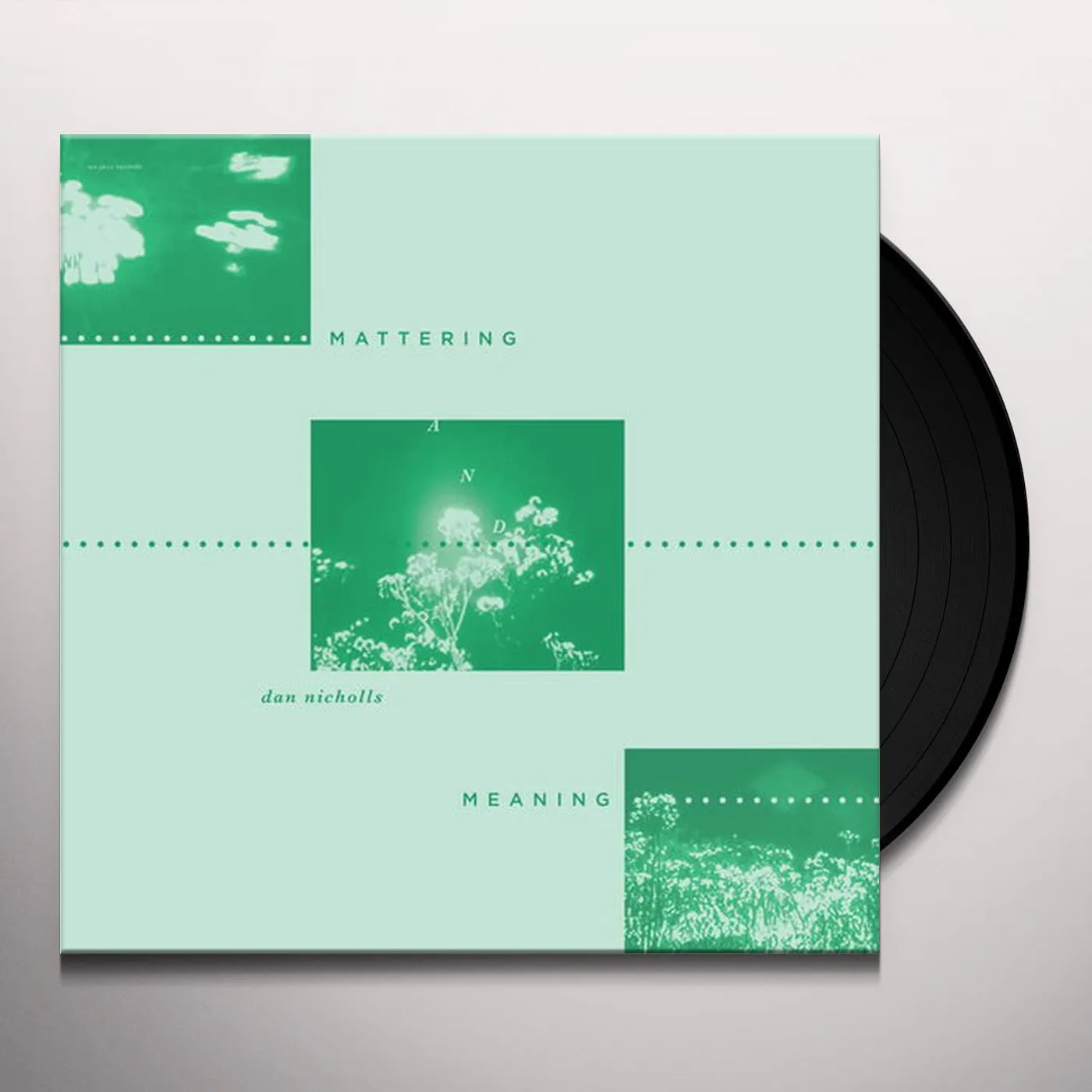 Dan Nicholls Mattering and Meaning Vinyl Record