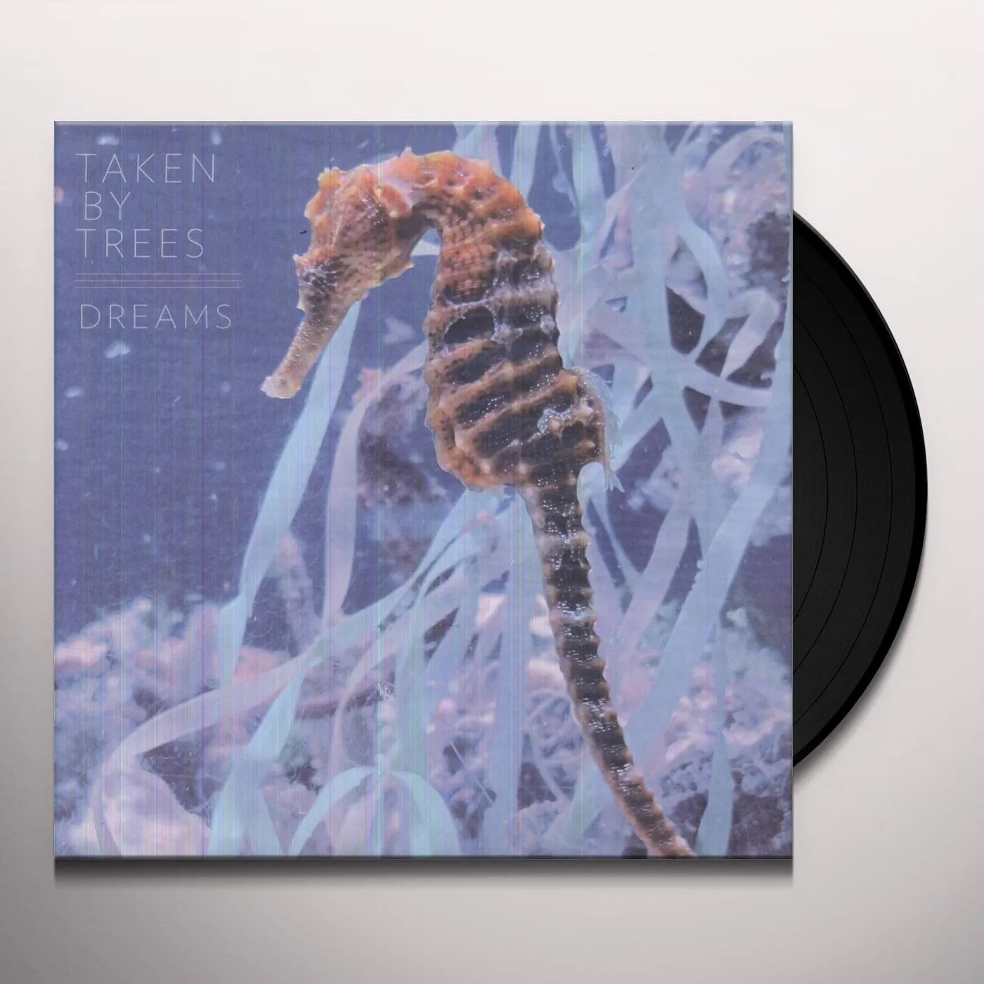 Taken By Trees Dreams Vinyl Record