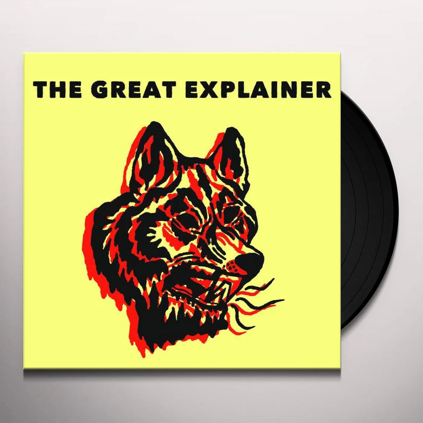 The Great Explainer Vinyl Record