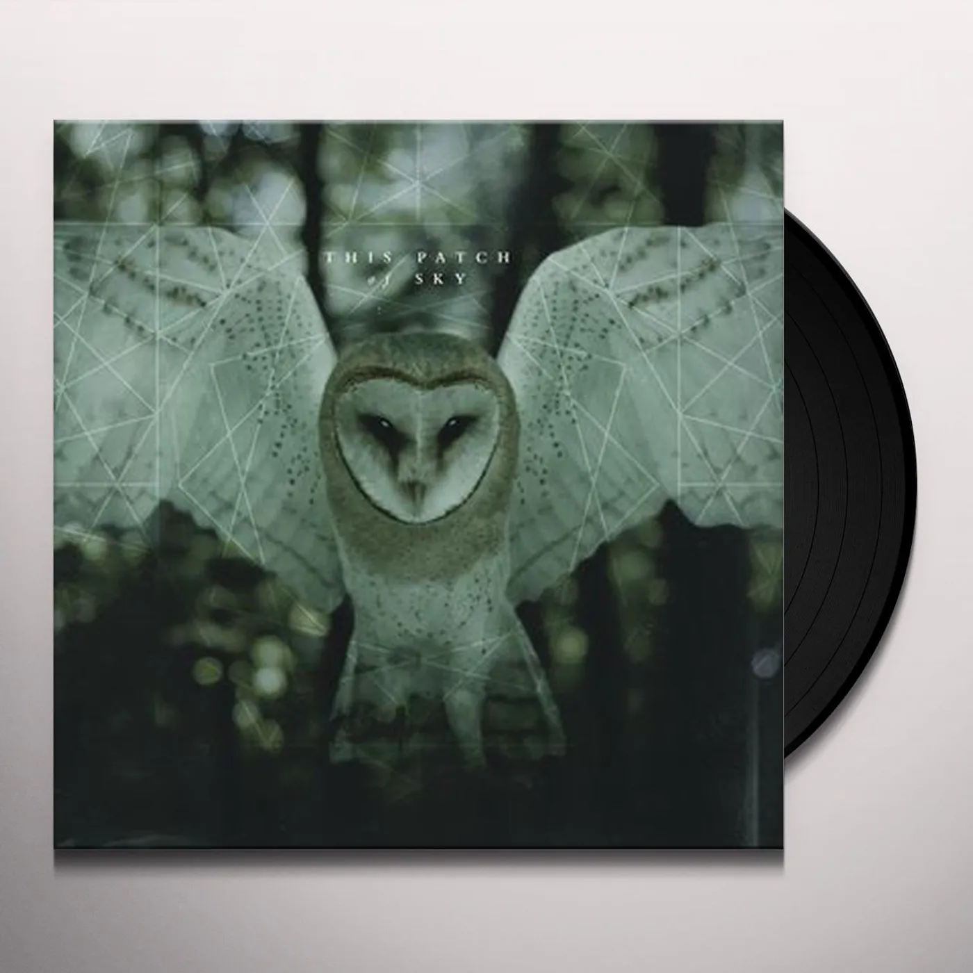 This Patch of Sky Vinyl Record