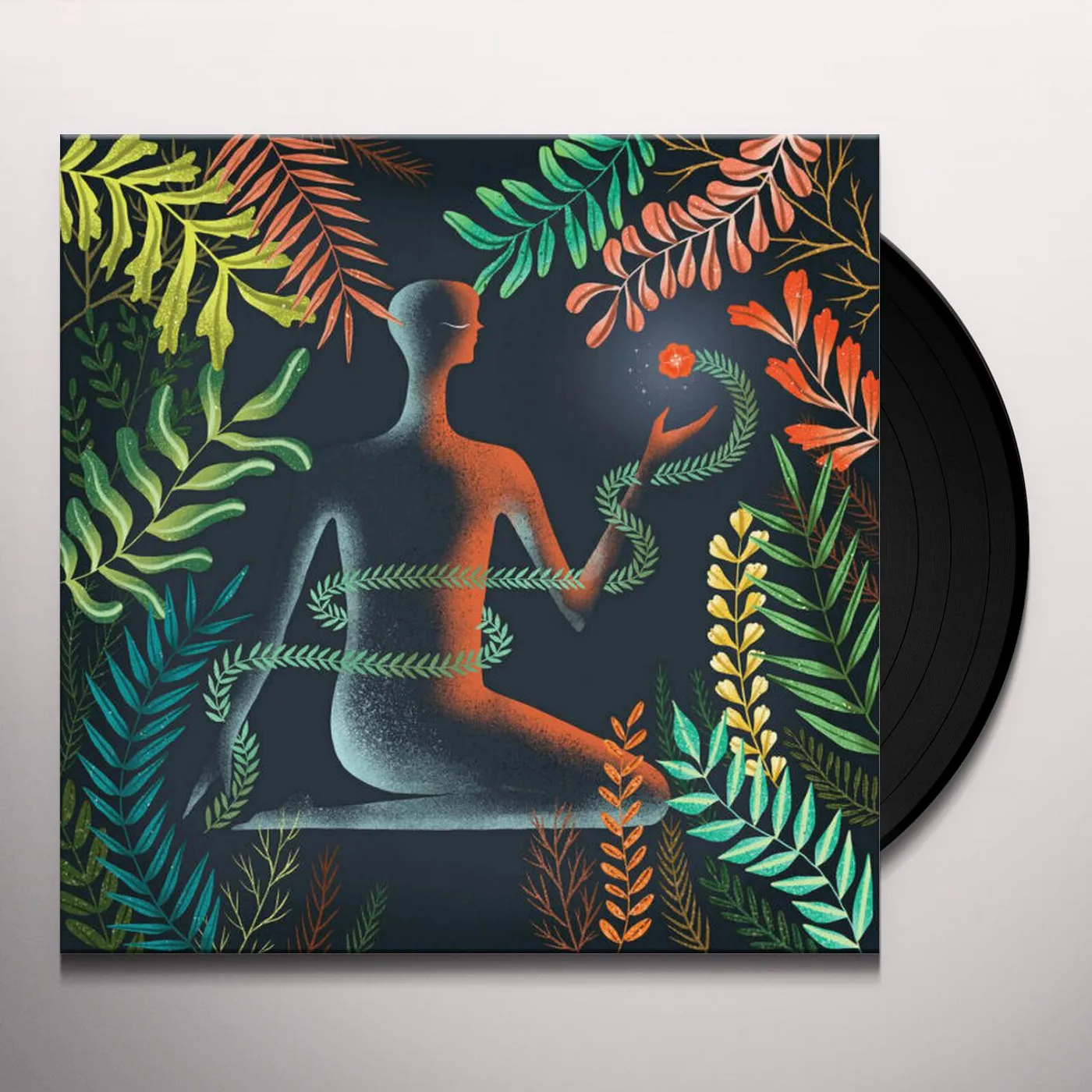 Loma Don't Shy Away Vinyl Record